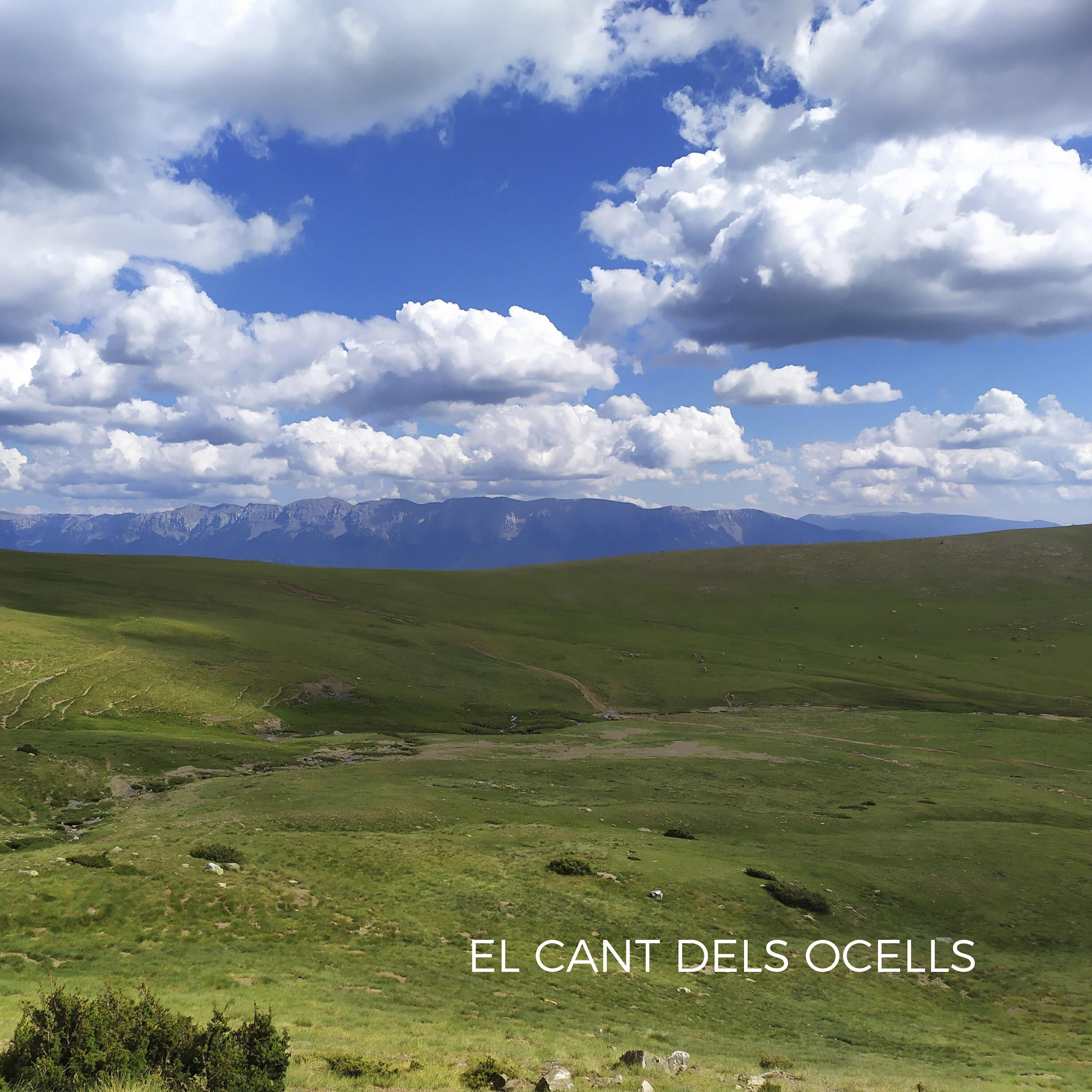 Релиз El Cant Dels Ocells