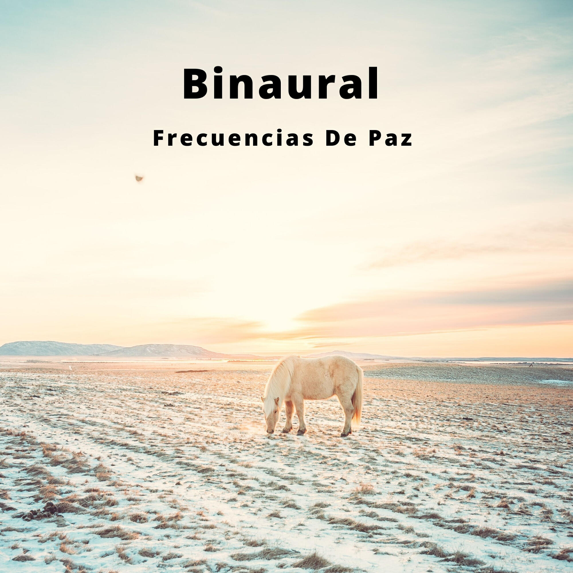 Релиз Binaural: Frecuencias De Paz
