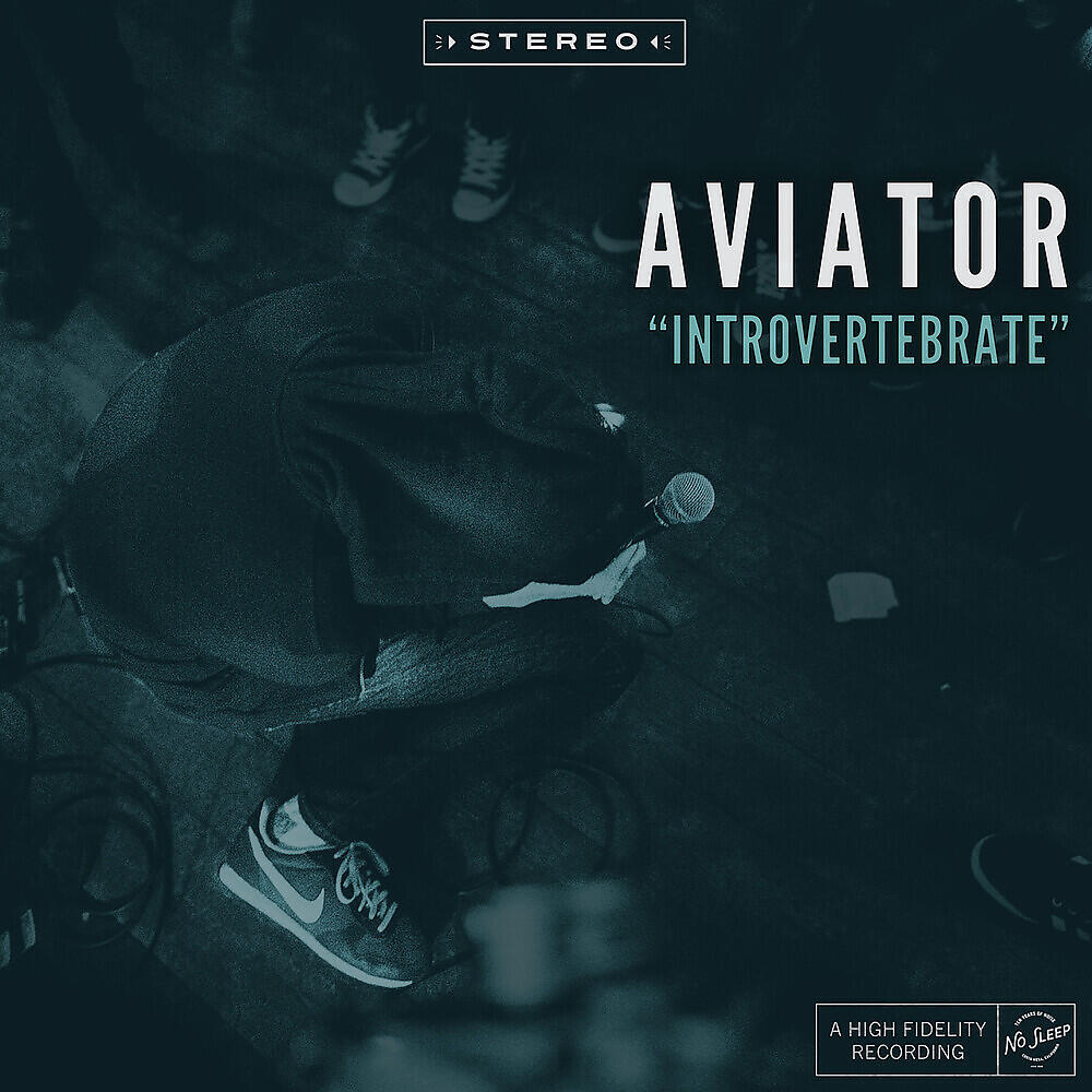 Релиз Introvertebrate