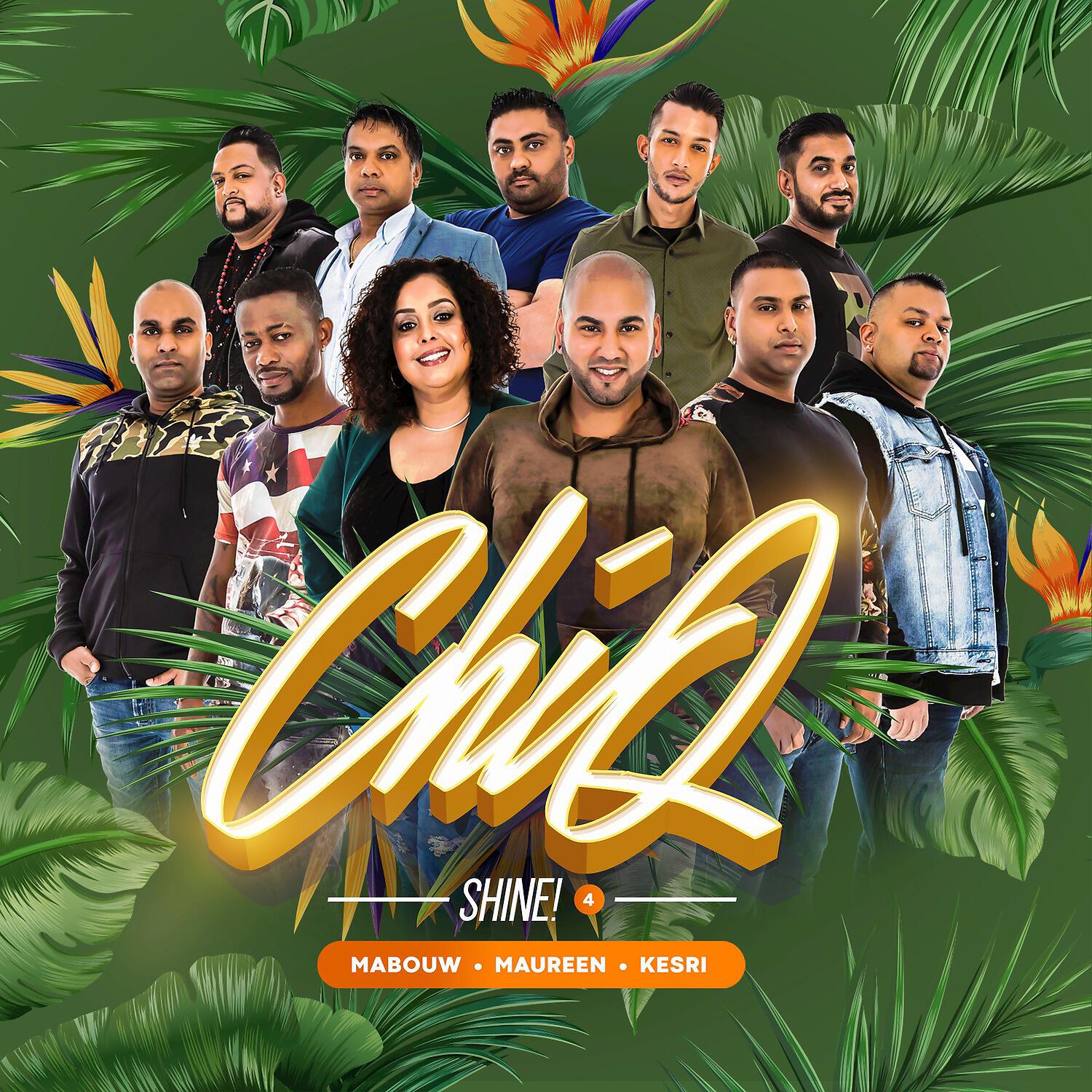 Релиз Shine!, Vol. 4