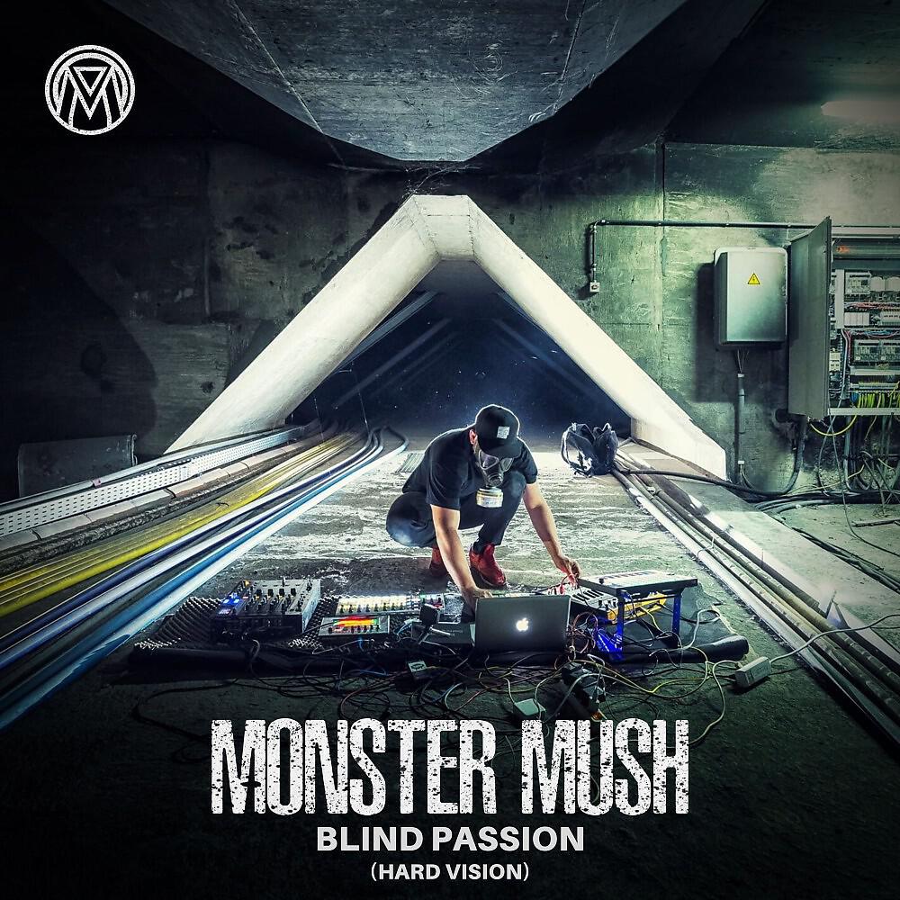 Релиз Blind Passion (Hard Vision)