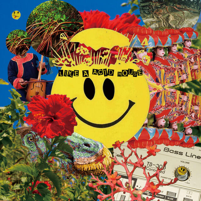 Релиз Like A Acid House