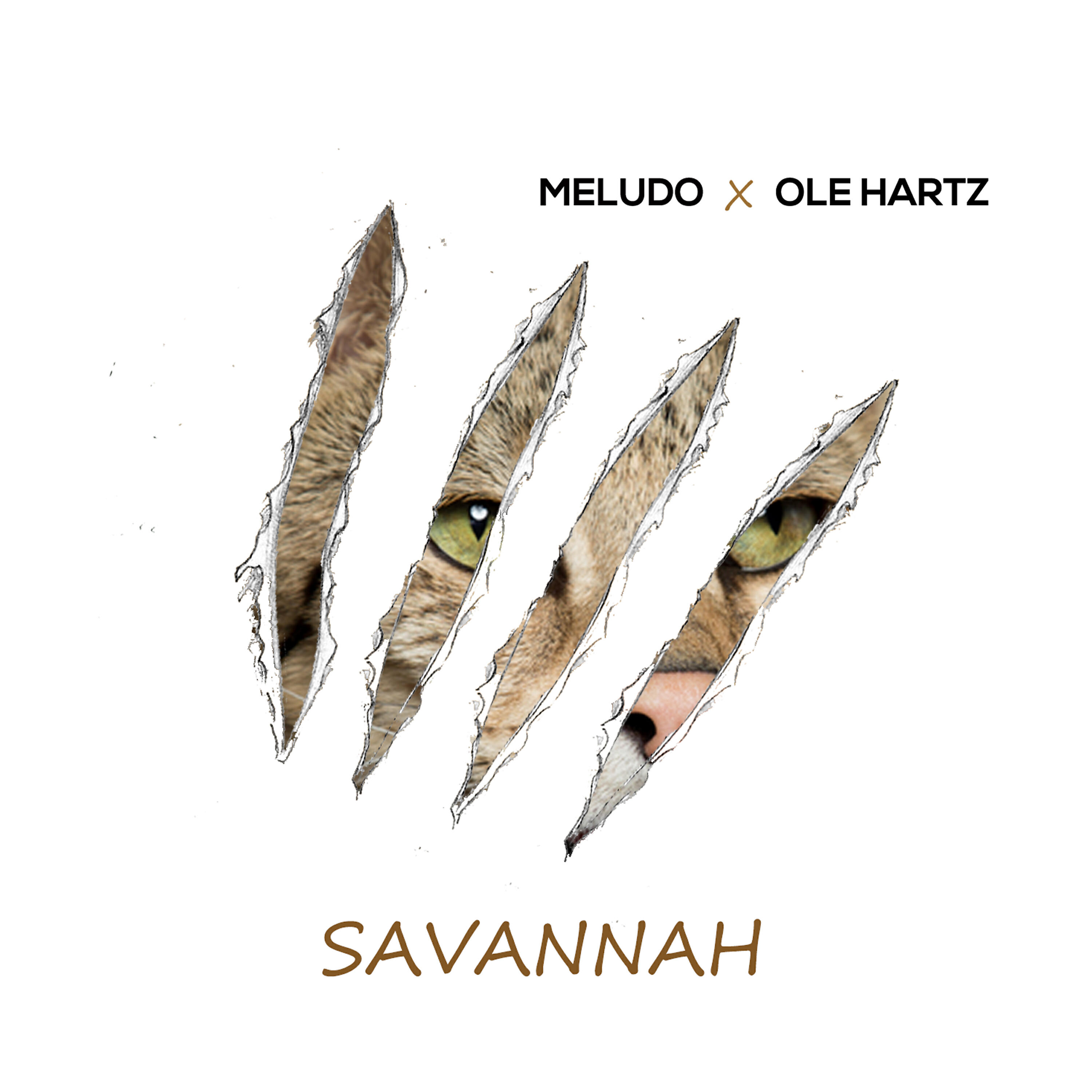 Релиз Savannah