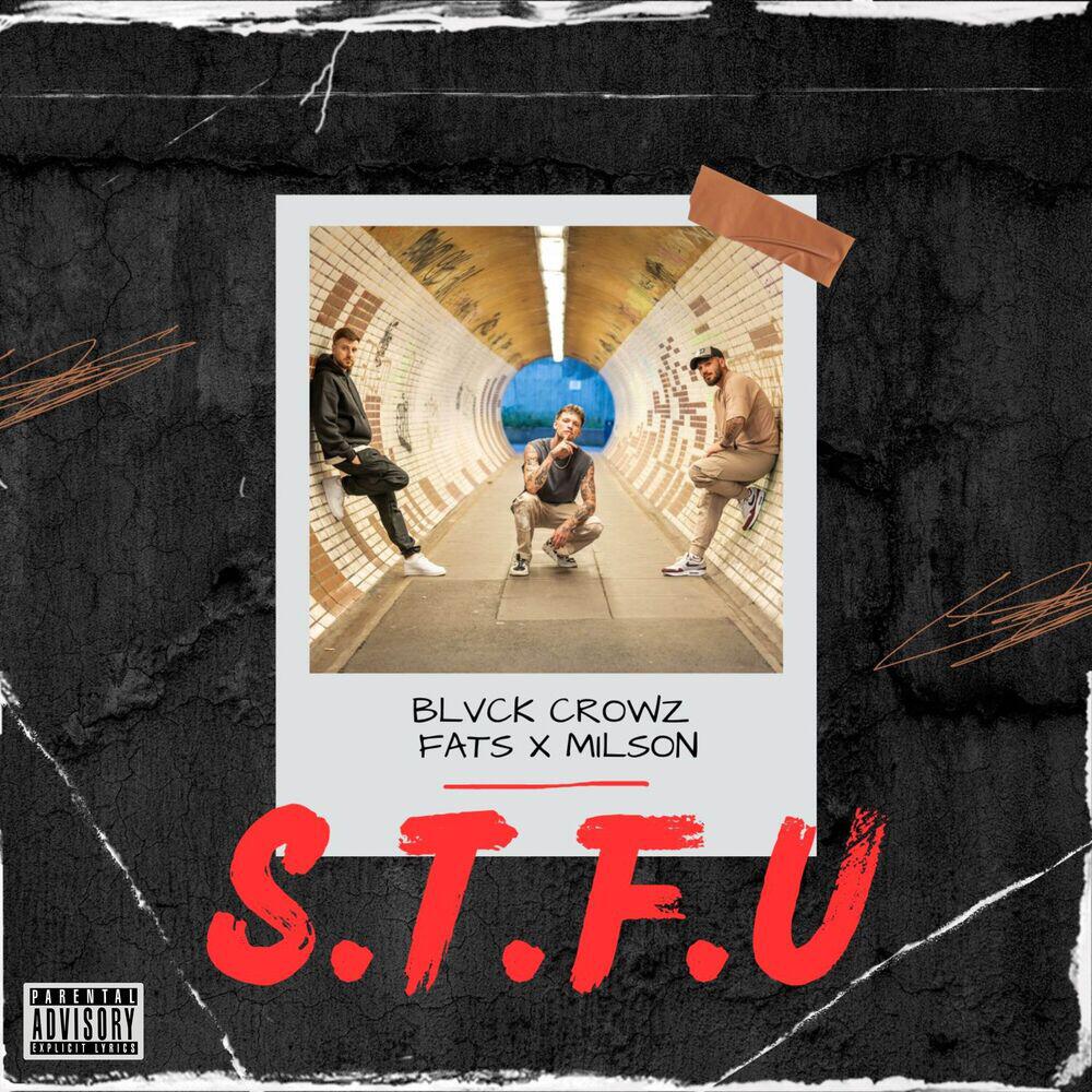 Релиз S.T.F.U.