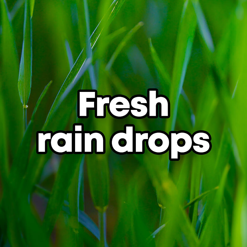 Релиз Fresh Rain Drops