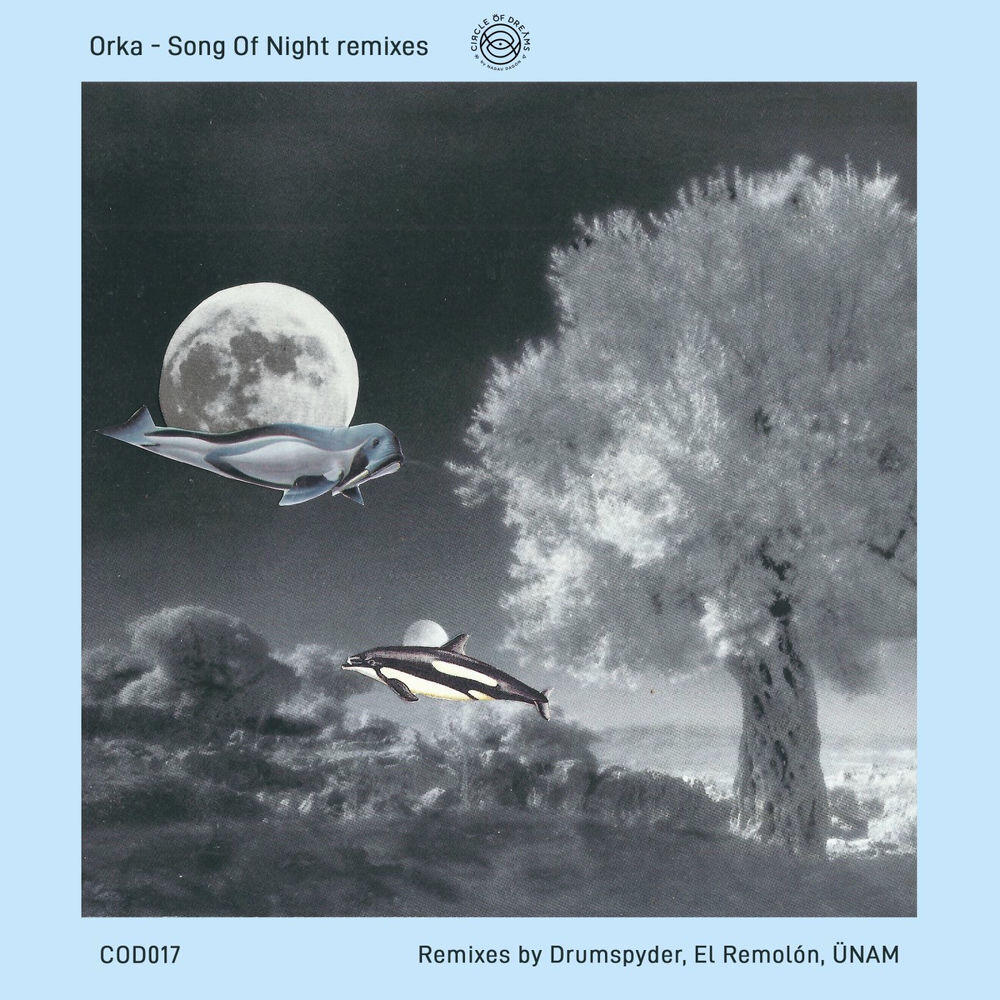 Релиз Song of Night Remixes