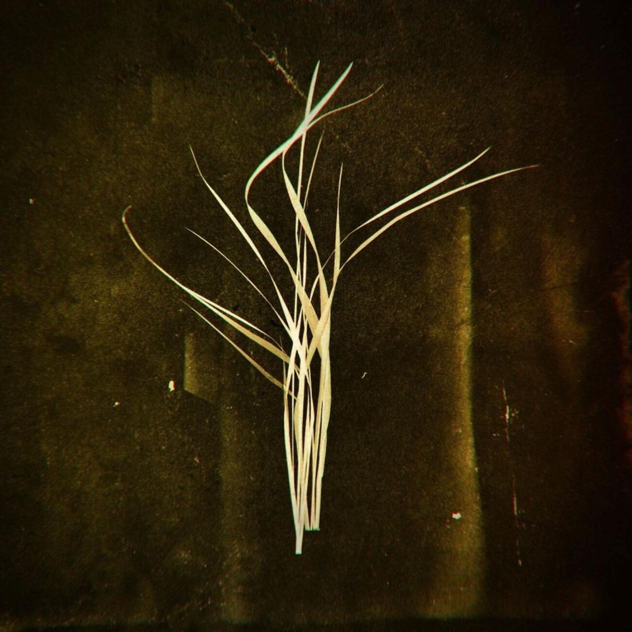 Релиз Mnemosyne