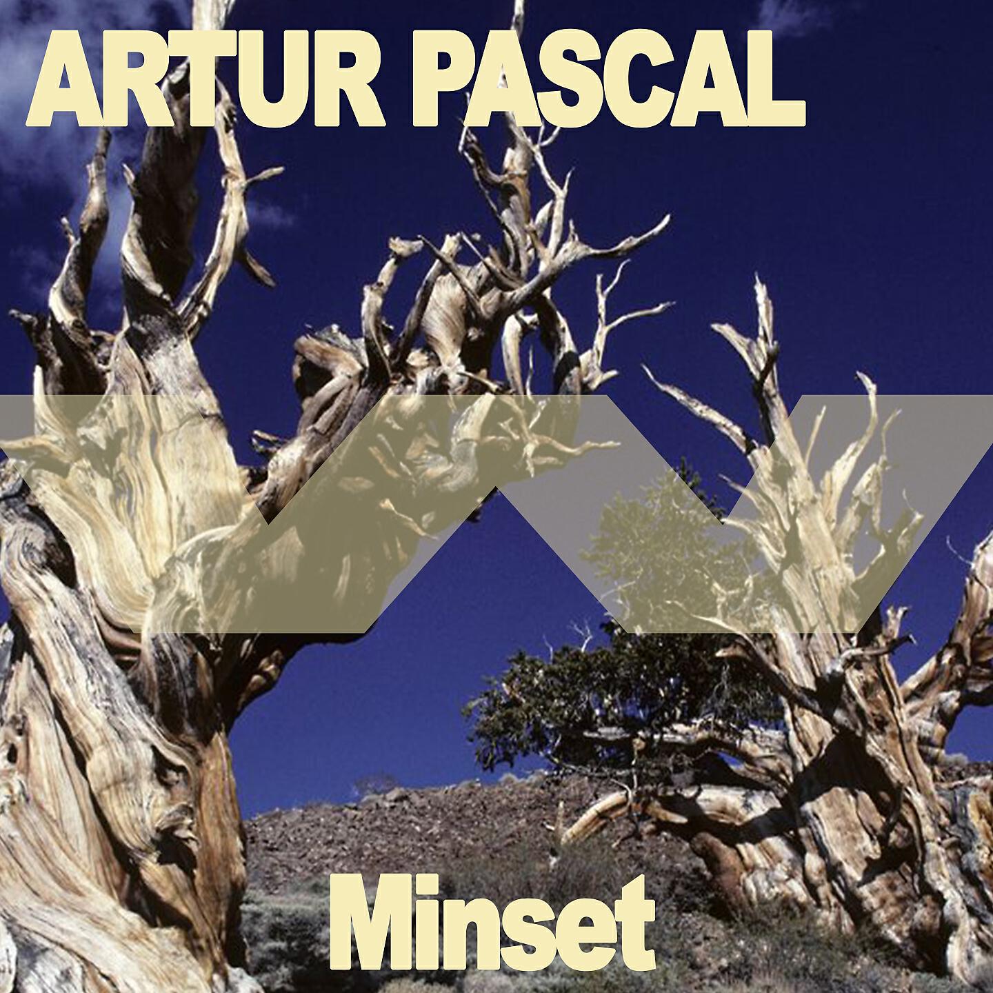 Релиз Minset