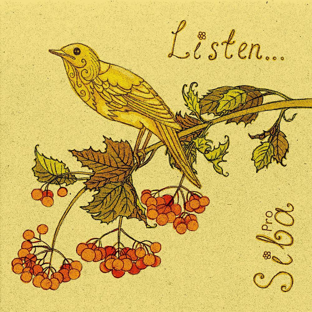 Постер альбома Listen