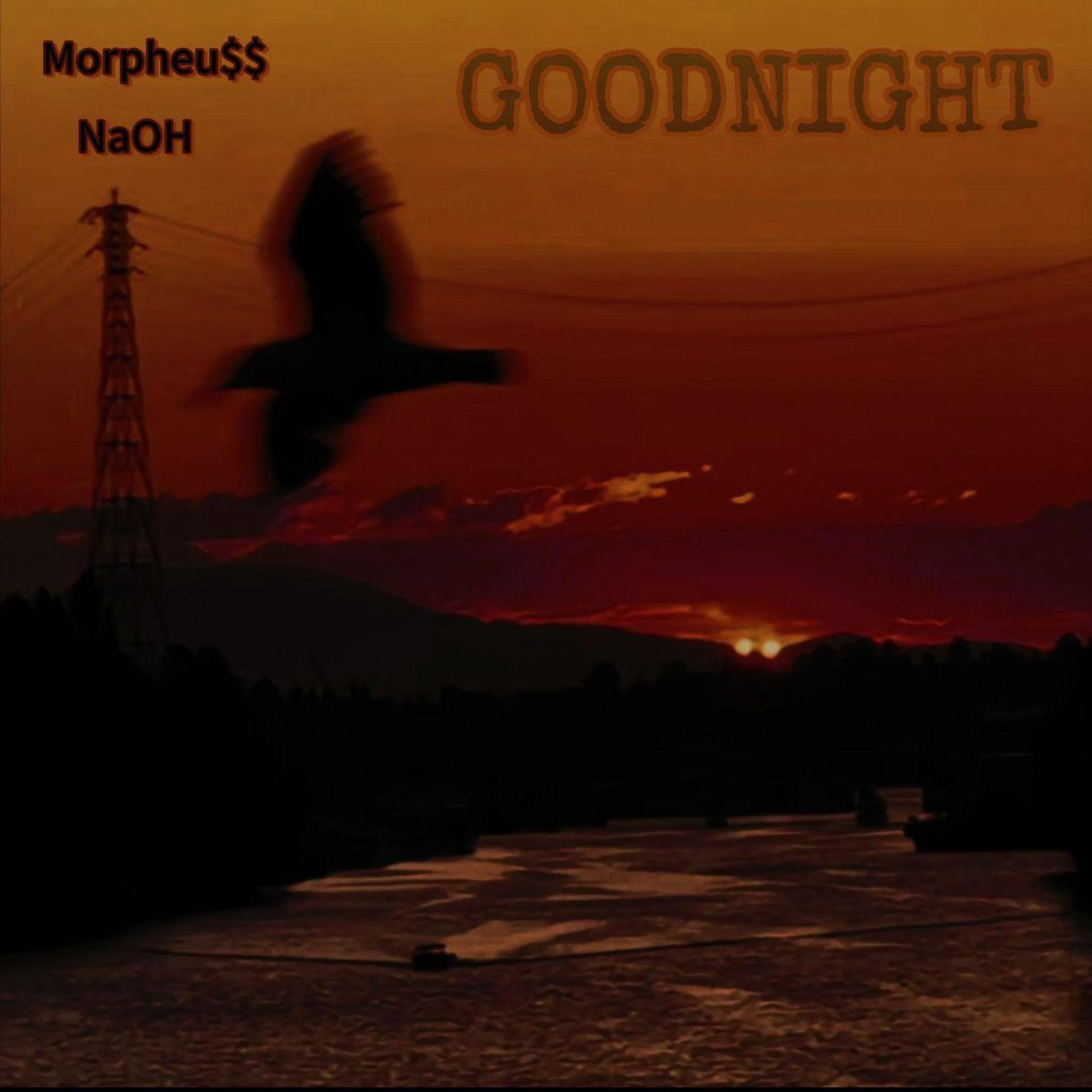 Релиз Good Night