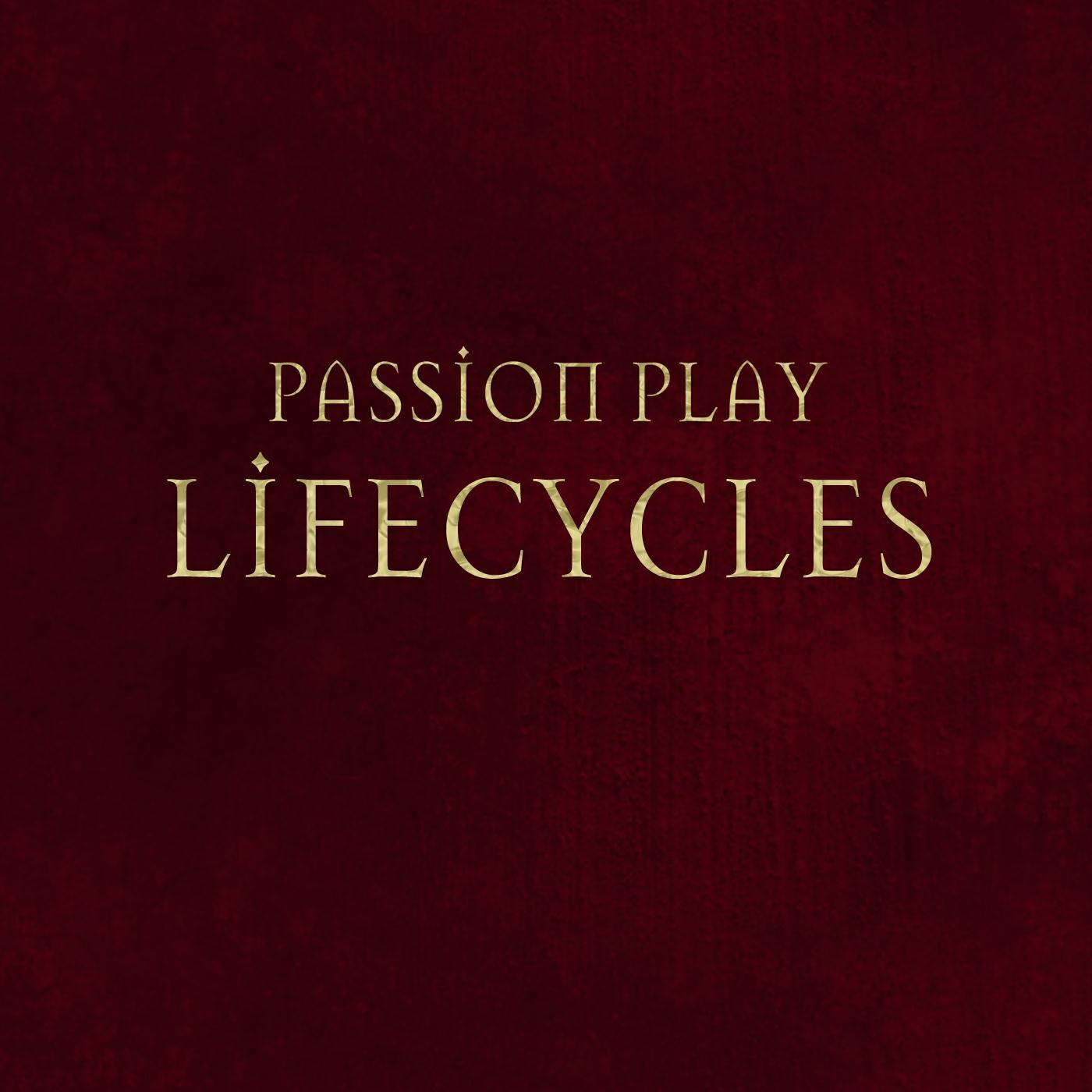 Релиз Lifecycles