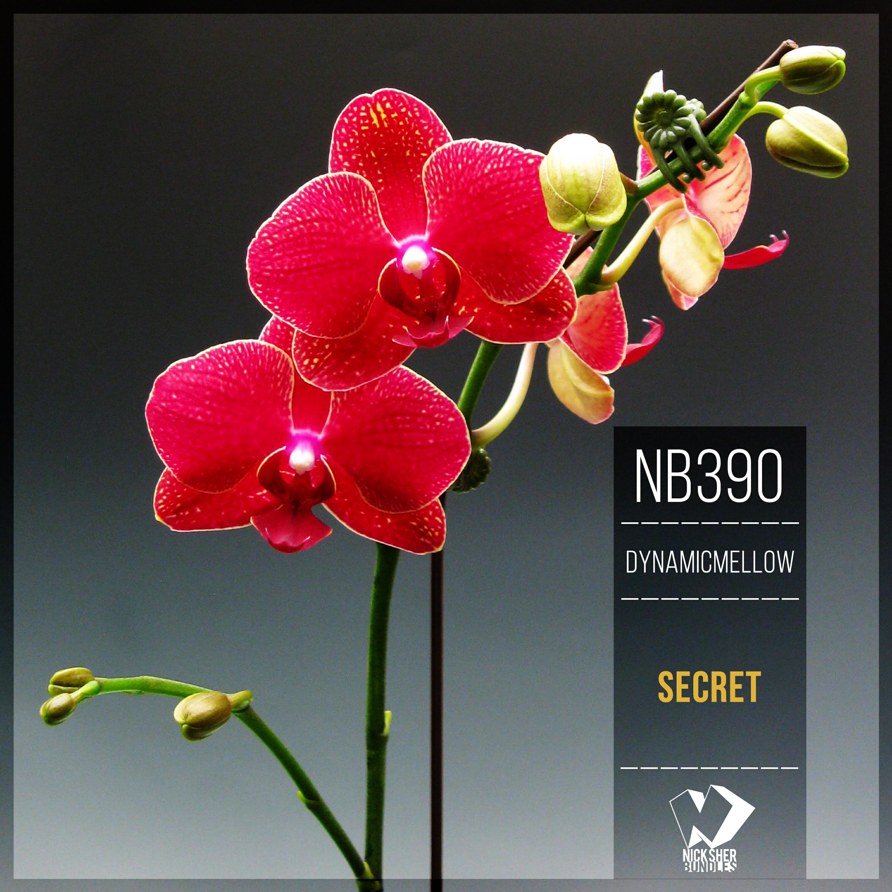 Релиз Secret (Original Mix)