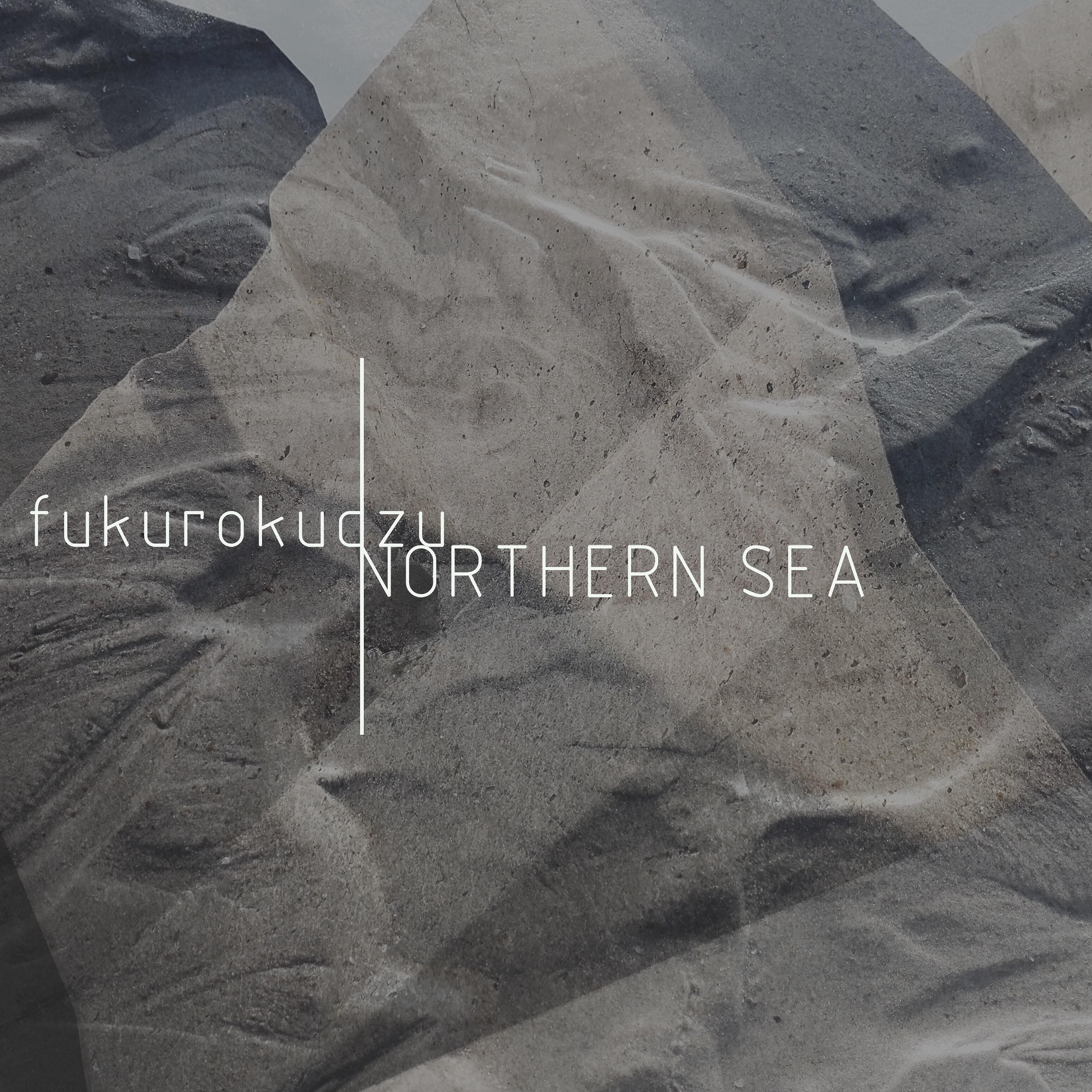 Релиз Northern Sea