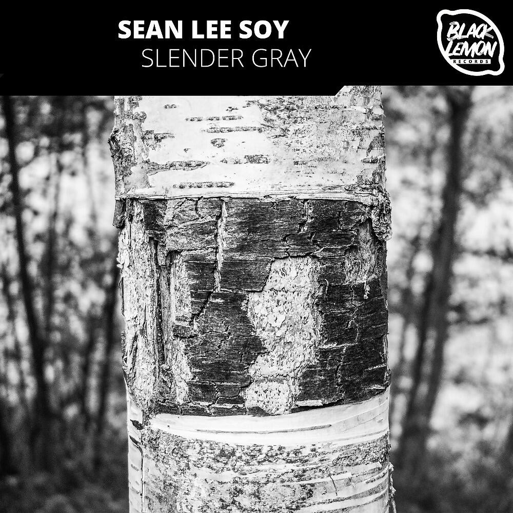 Sean Lee Soy