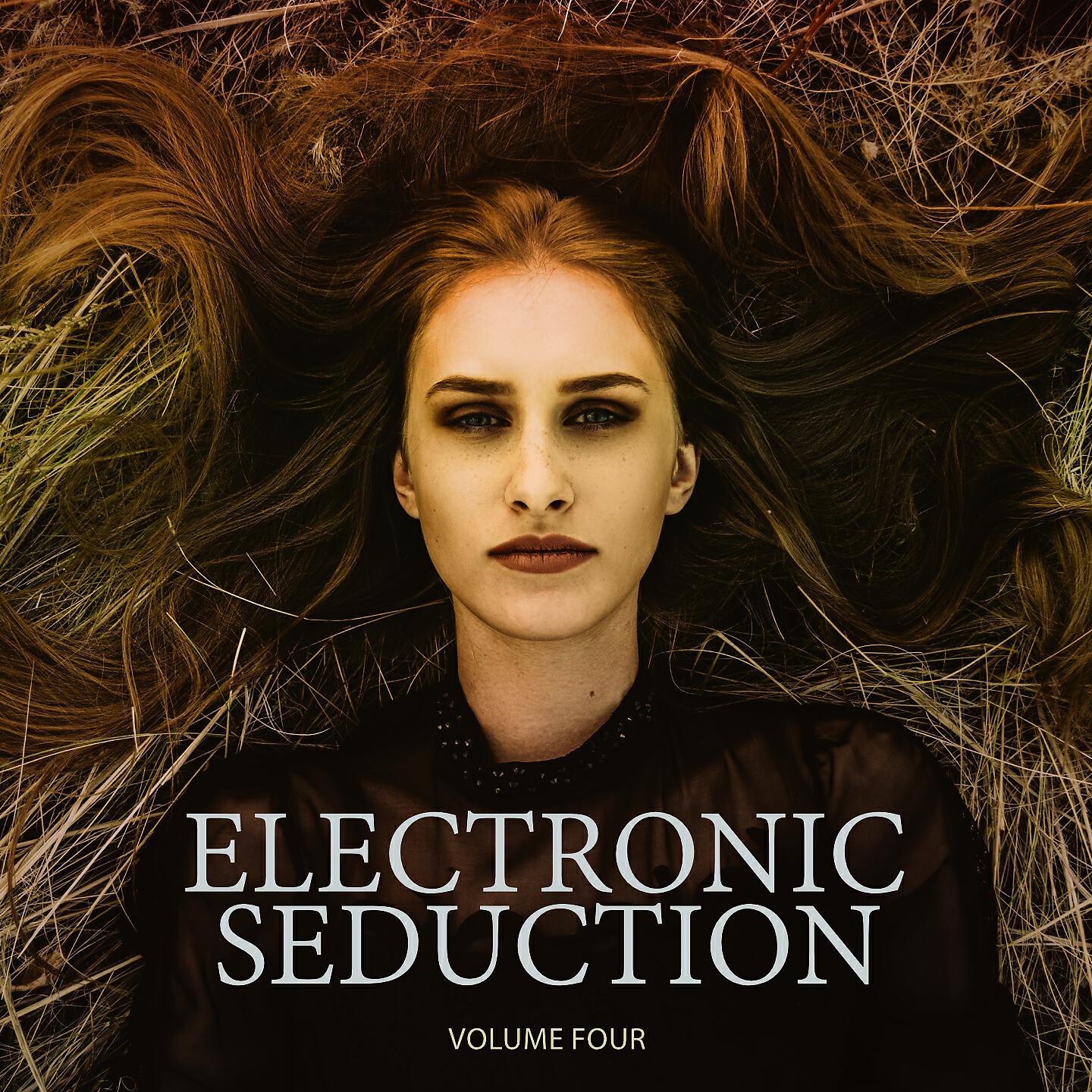Релиз Electronic Seduction, Vol. 4