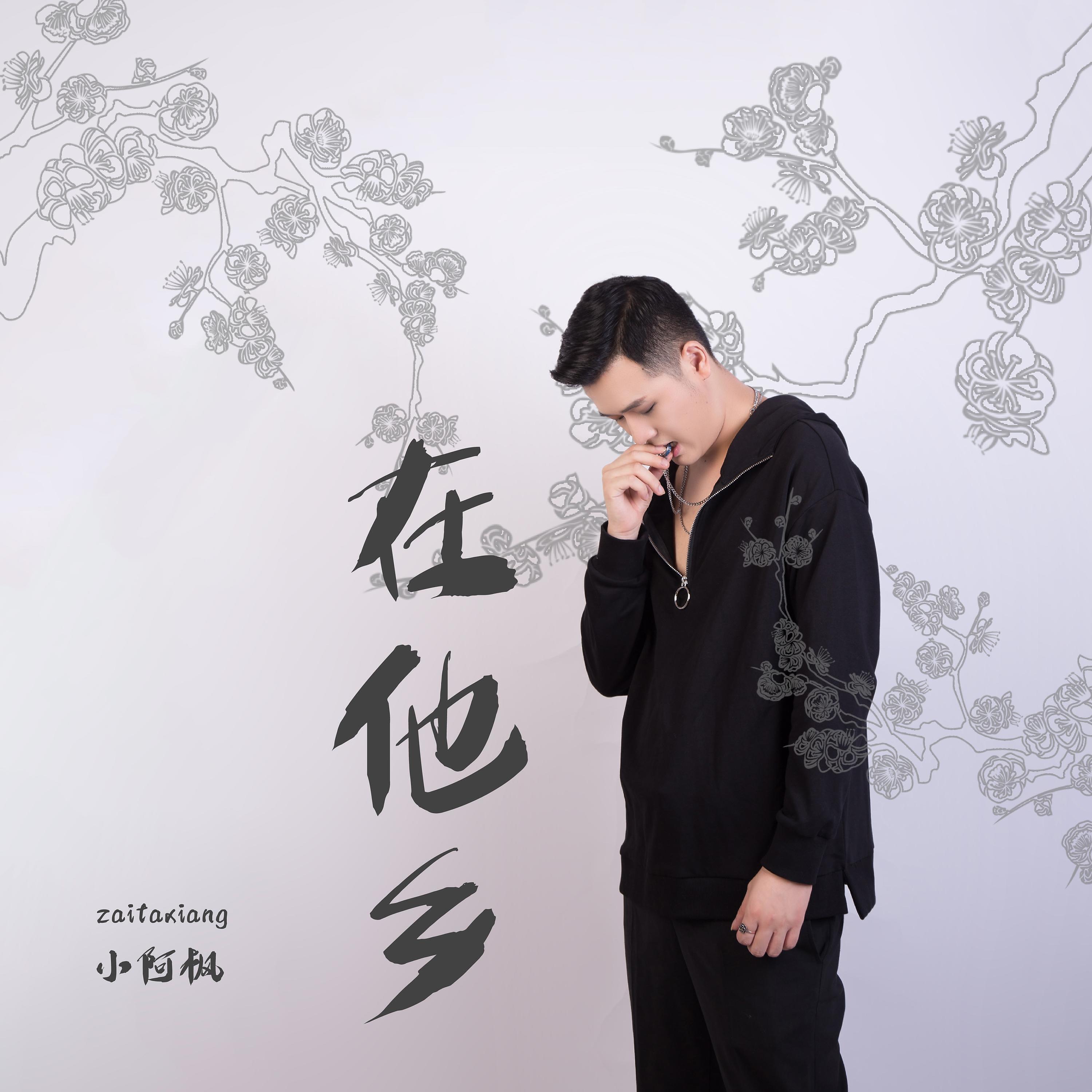 Релиз 在他乡