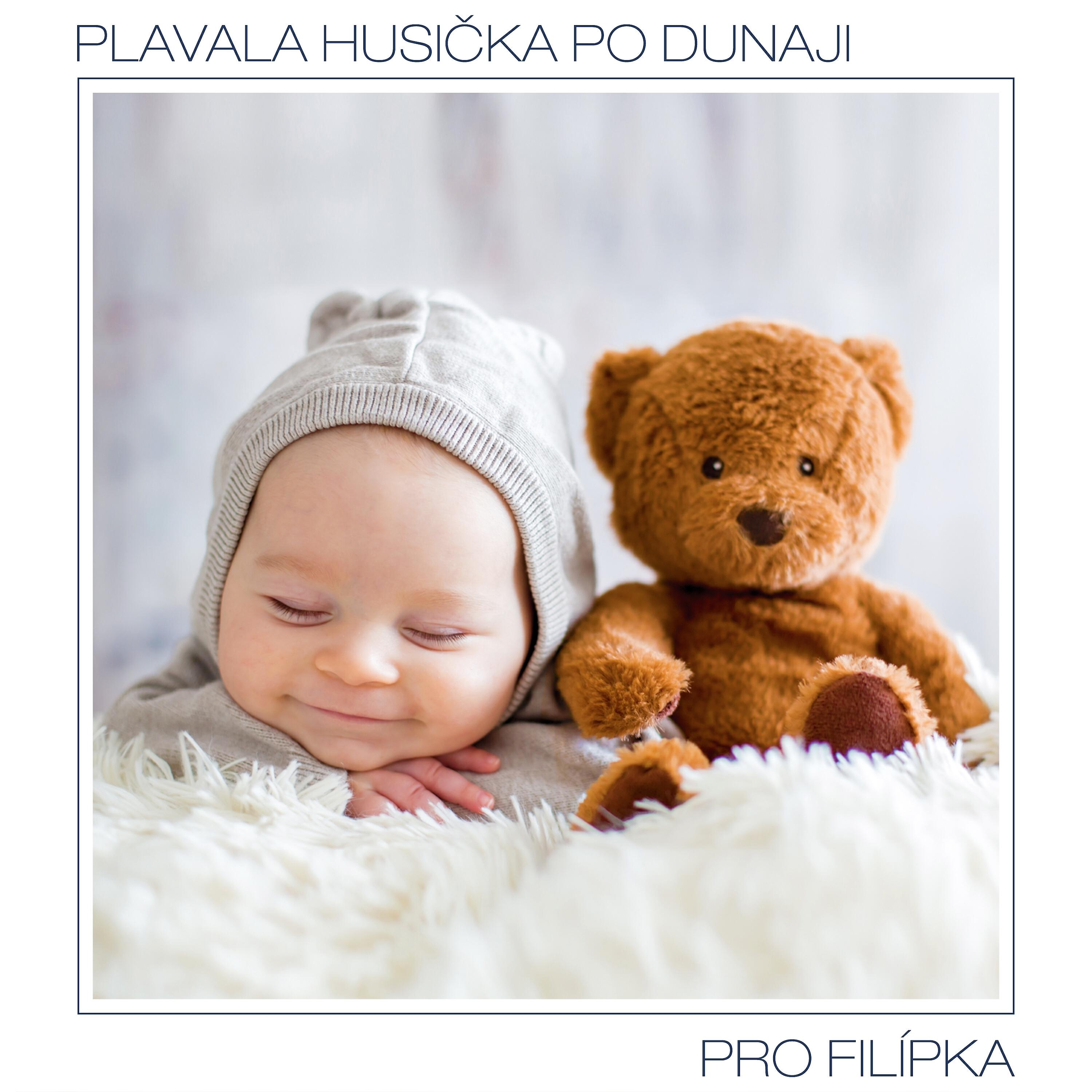 Релиз Plavala husička po dunaji