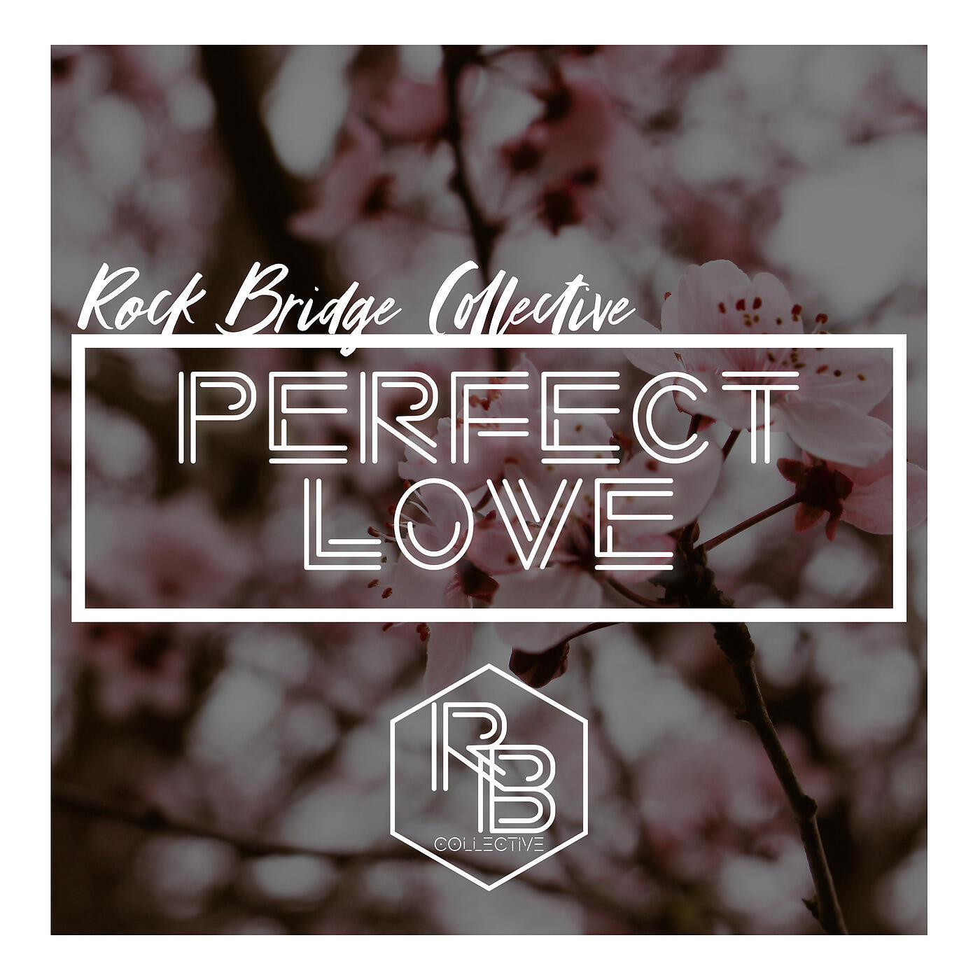 Постер альбома Perfect Love
