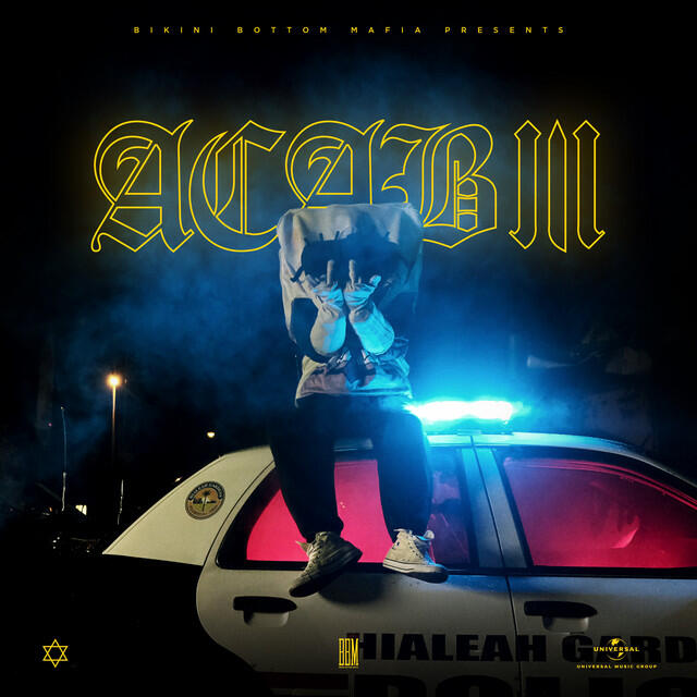 Релиз A.C.A.B. III