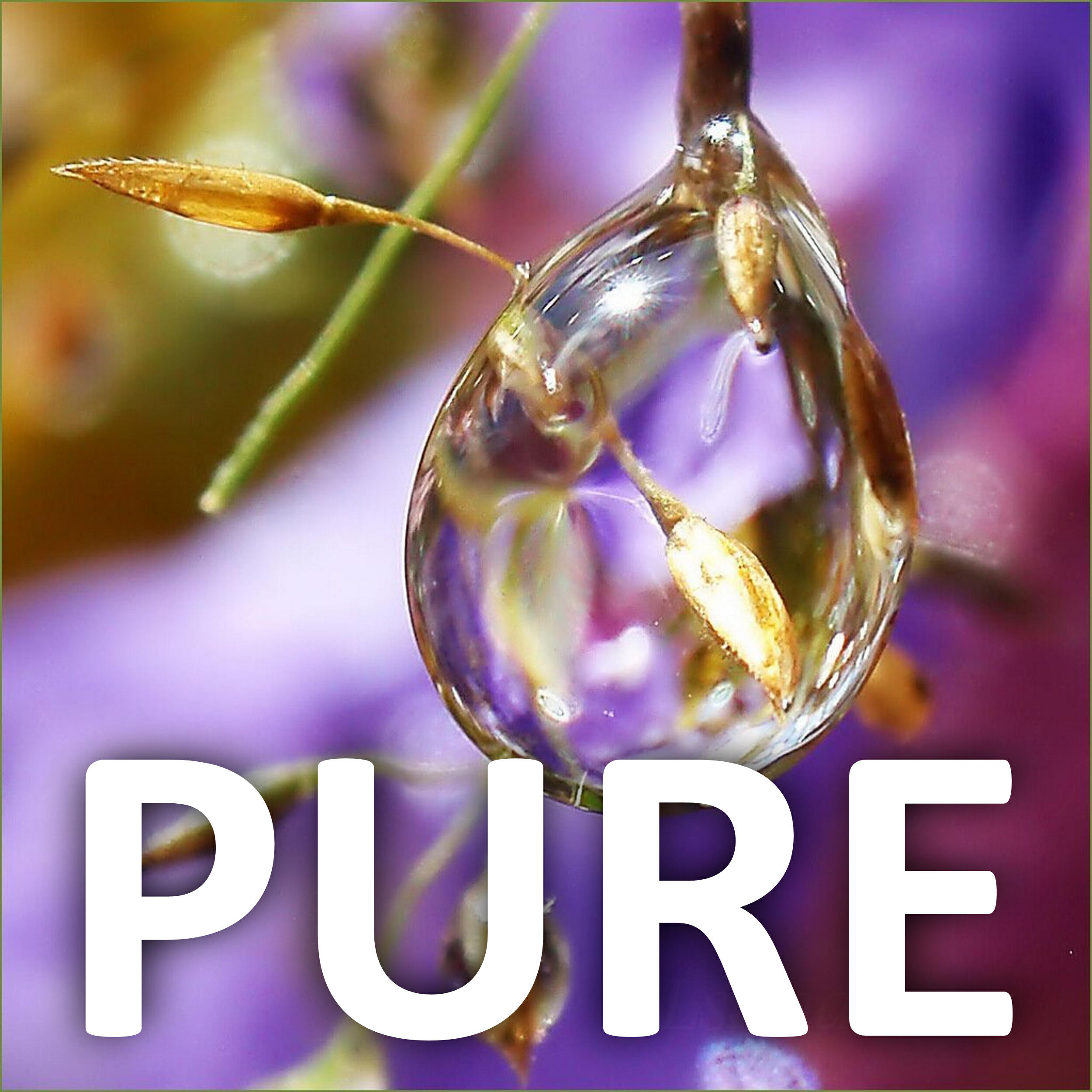 Постер альбома Pure