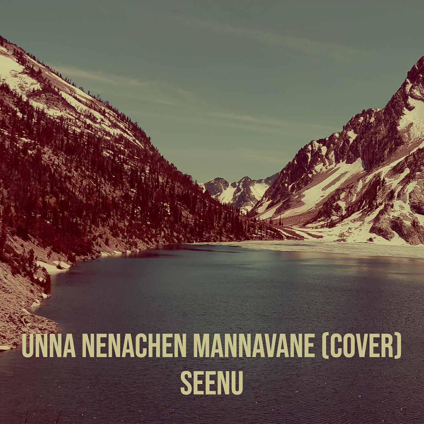 Релиз Unna Nenachen Mannavane (Cover)