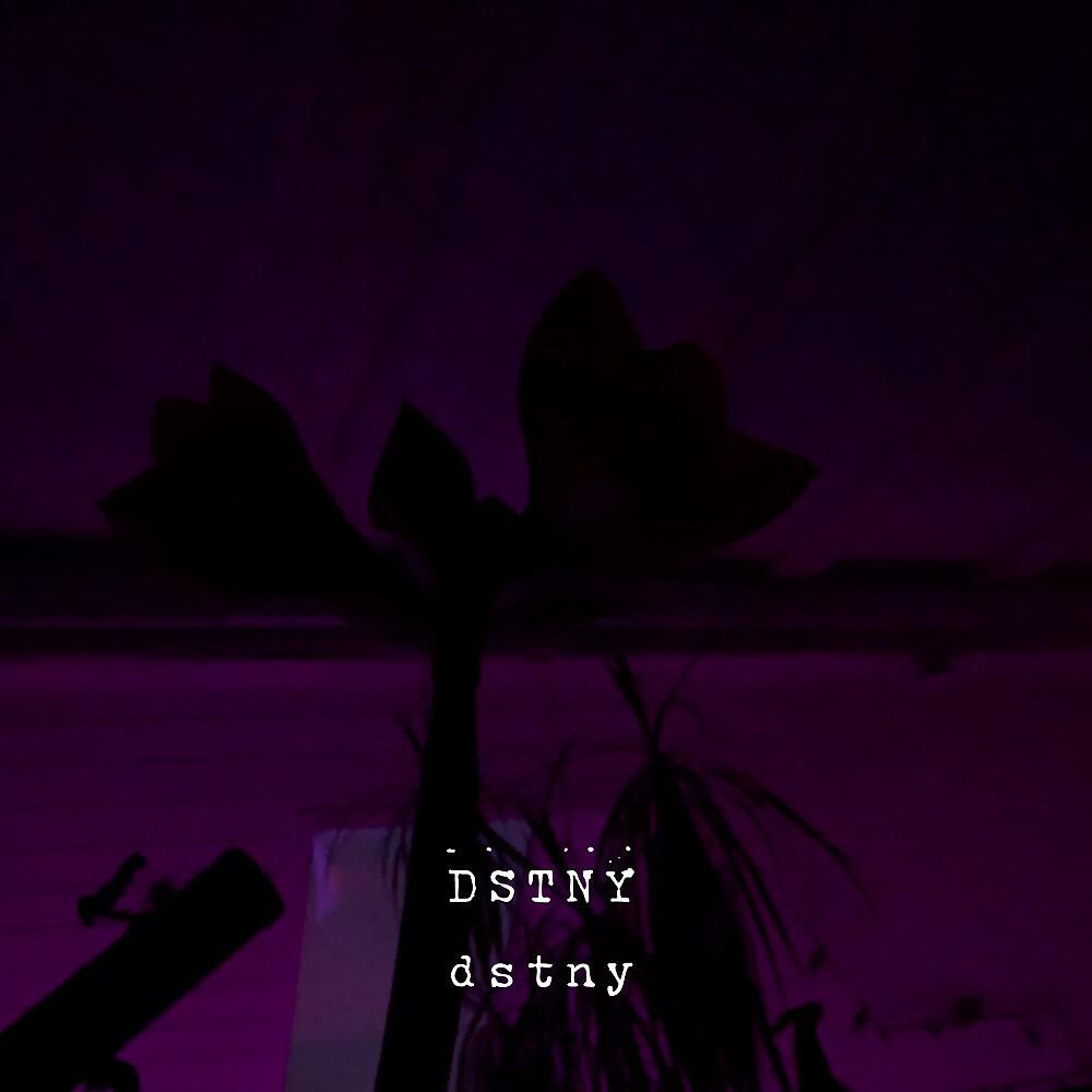 Постер альбома Dstny