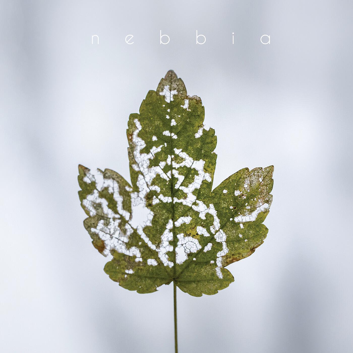 Релиз Nebbia