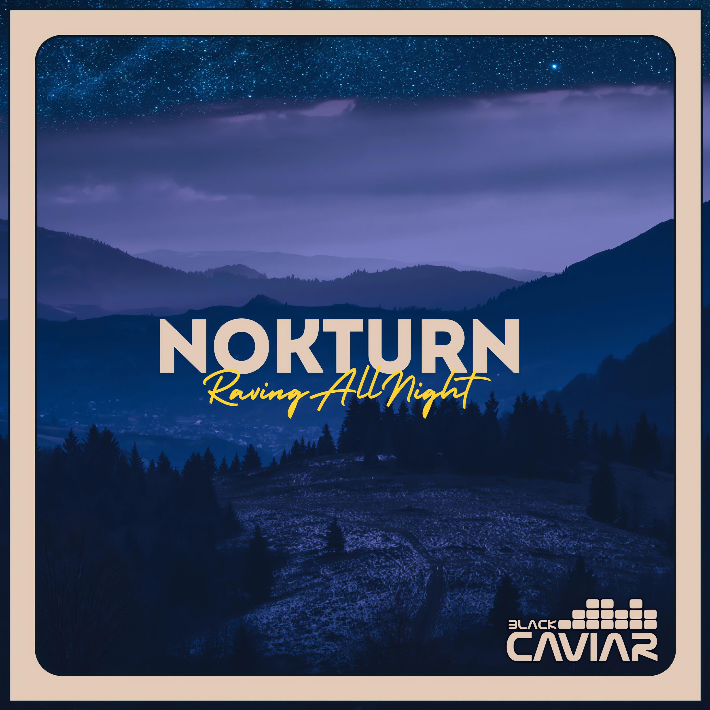 Релиз Nokturn [Raving All Night]