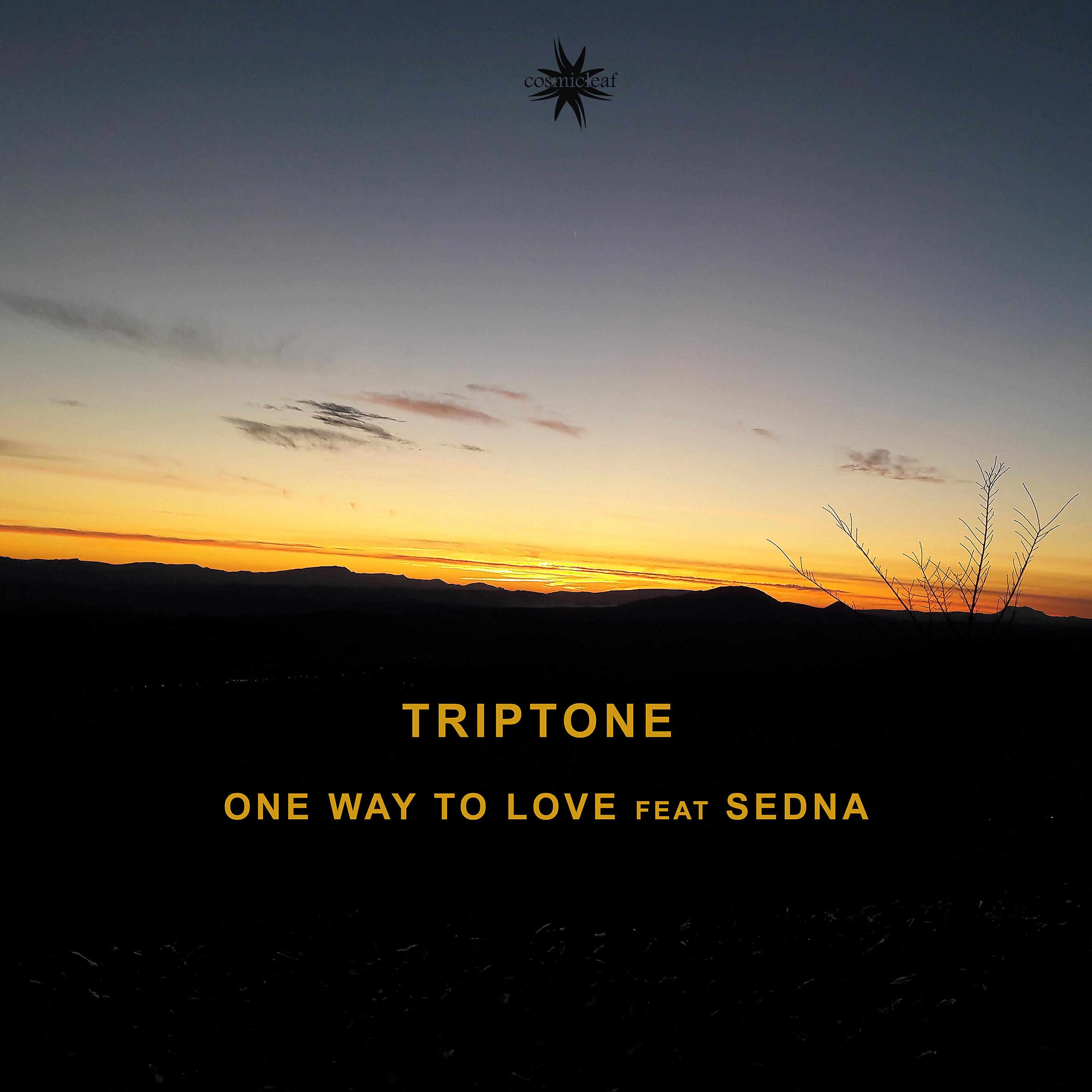 Релиз One Way to Love