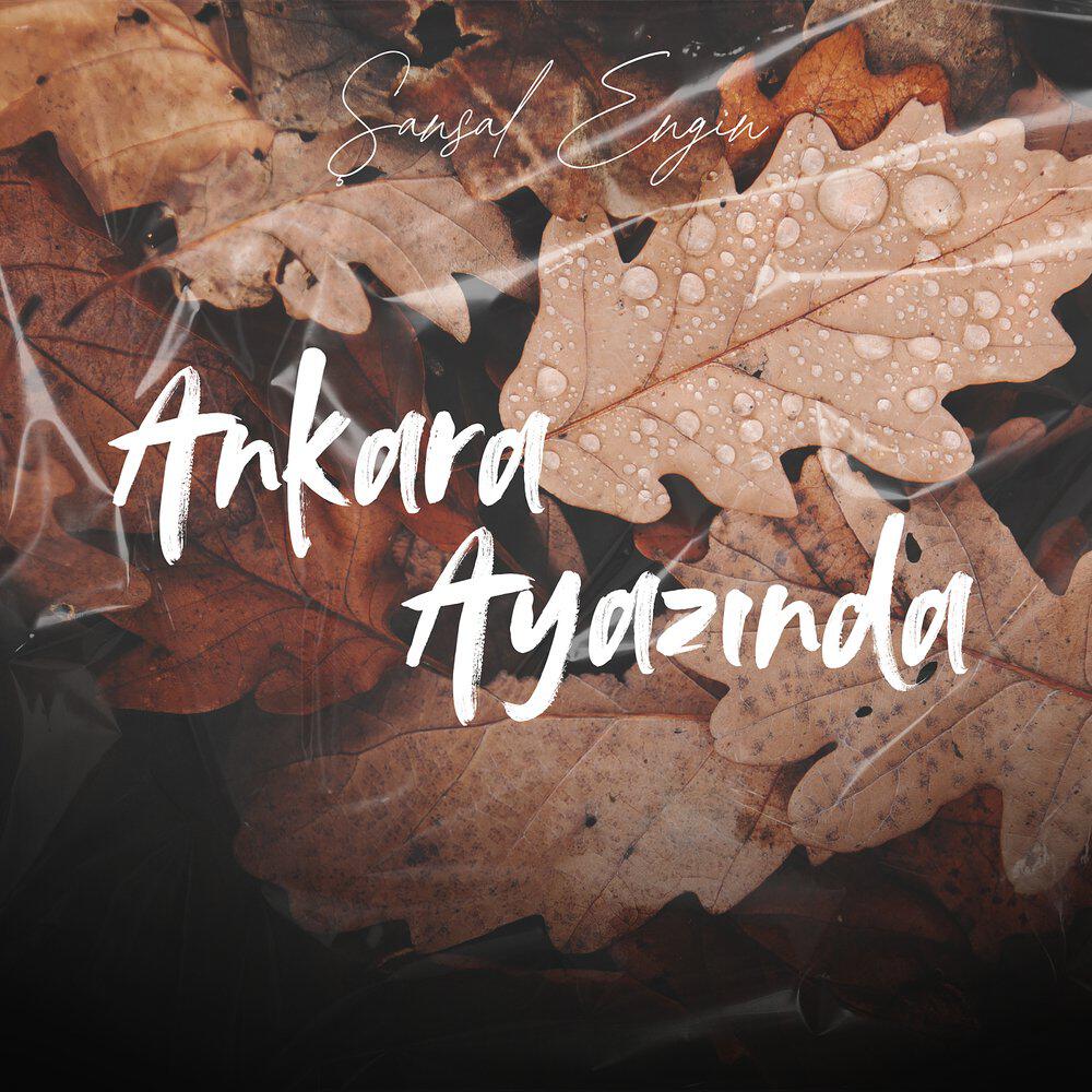 Релиз Ankara Ayazında