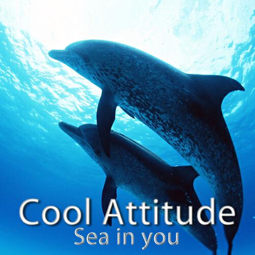 Релиз Cool Attitude - Sea in You