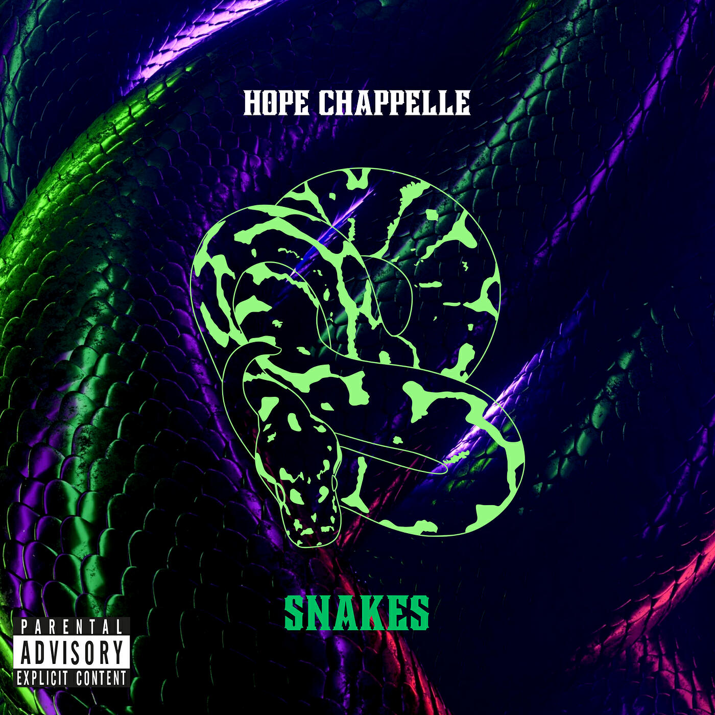Релиз Snakes