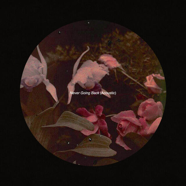 Релиз Never Going Back (Acoustic)