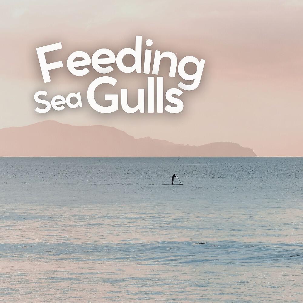 Релиз Feeding Sea Gulls