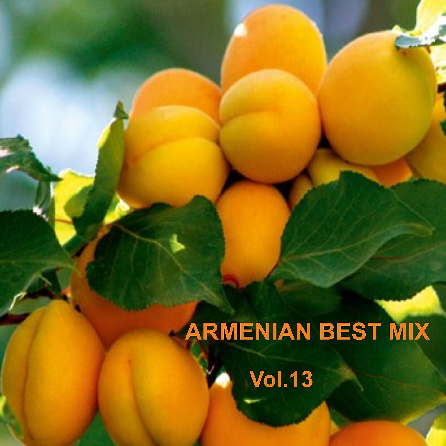 Релиз Armenian Best Mix, Vol. 13
