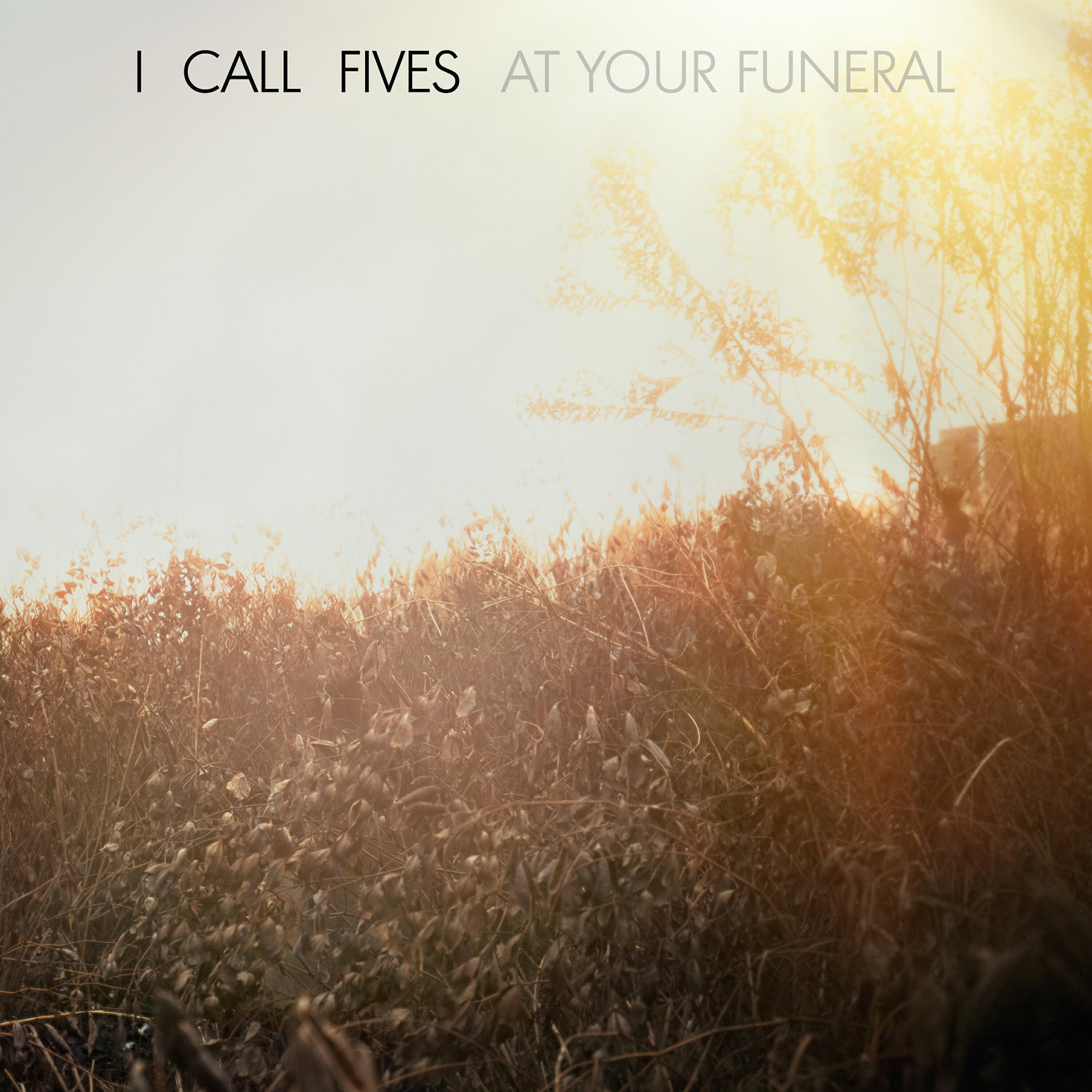 Релиз At Your Funeral