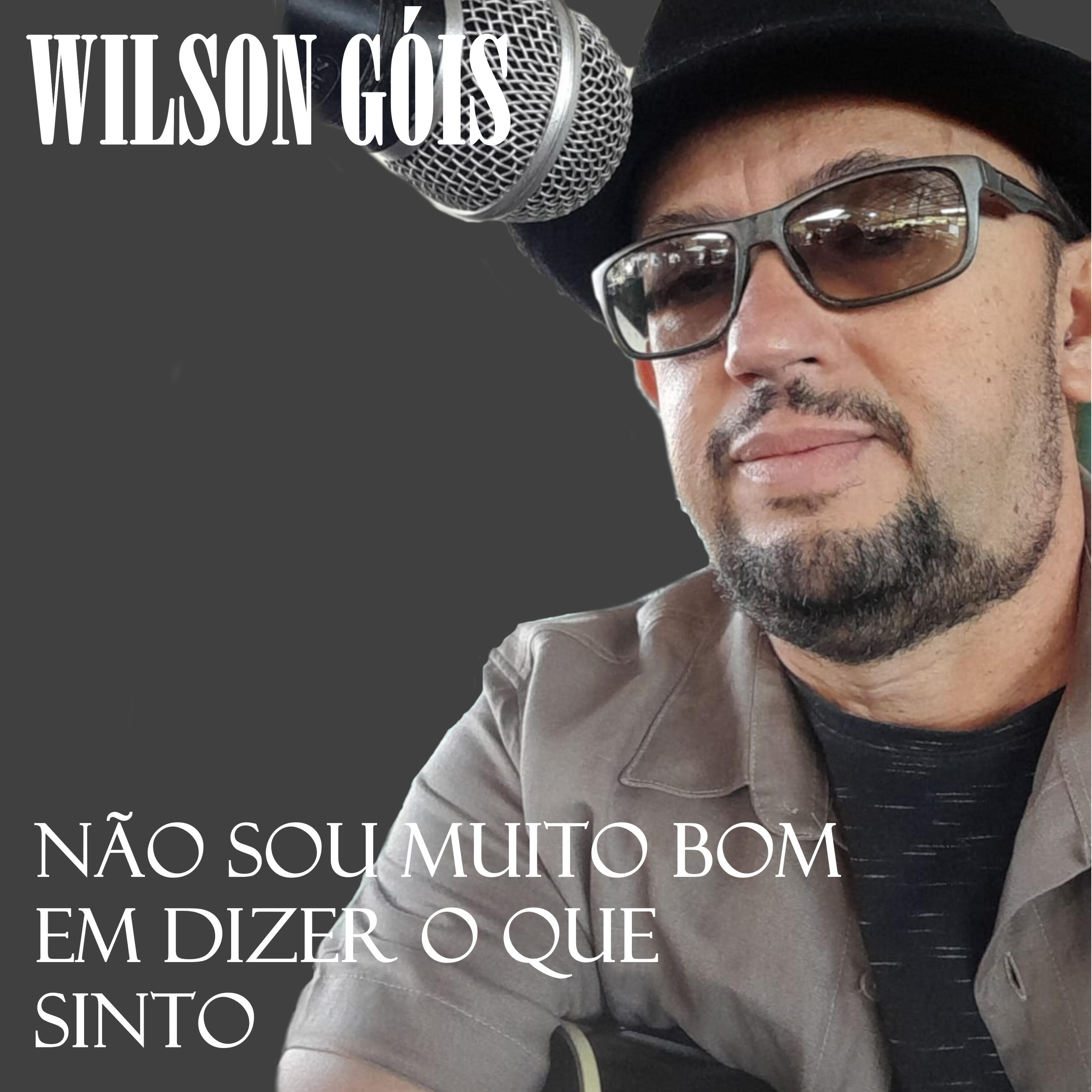Релиз Não Sou Muito Bom em Dizer o Que Sinto