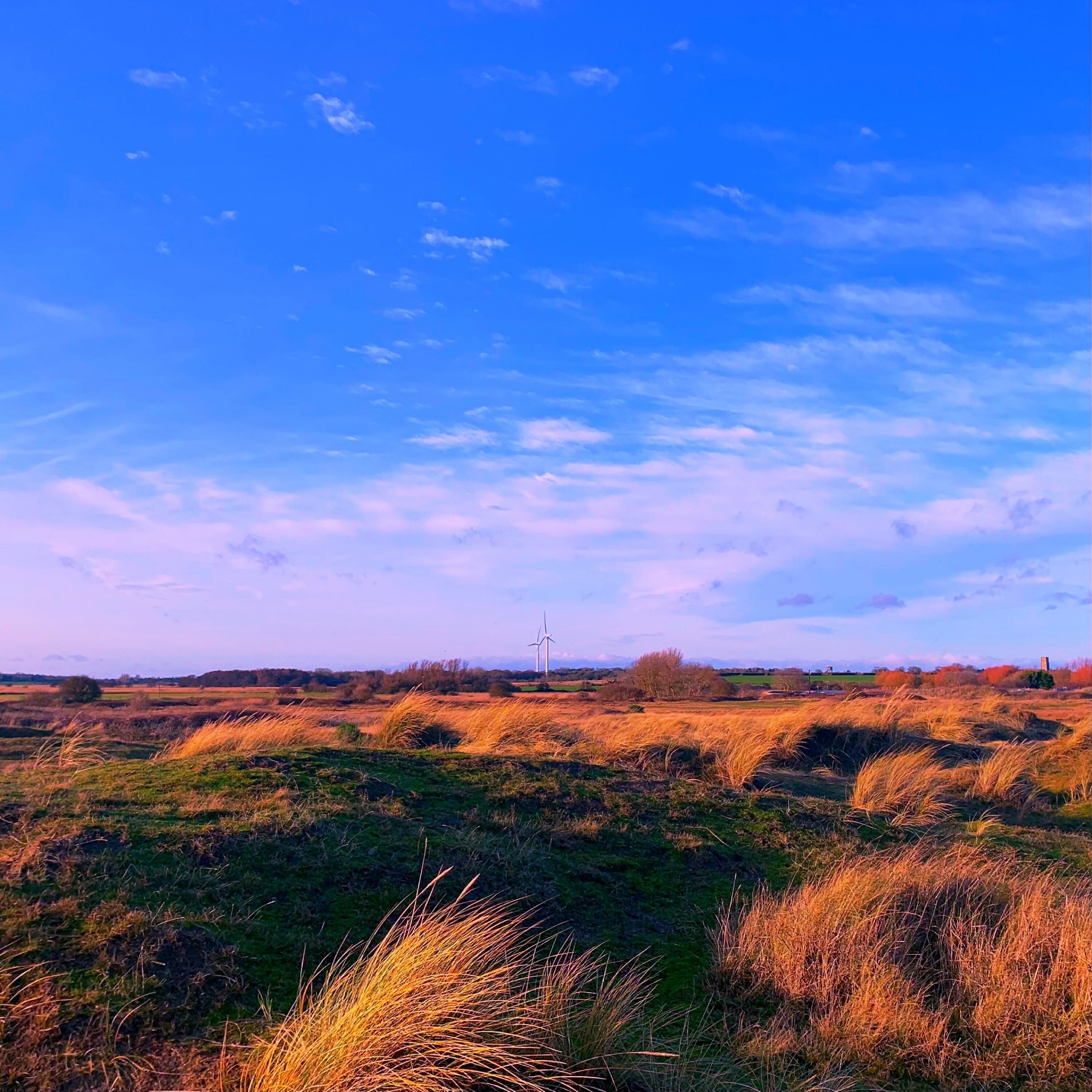 Релиз Picture Perfect