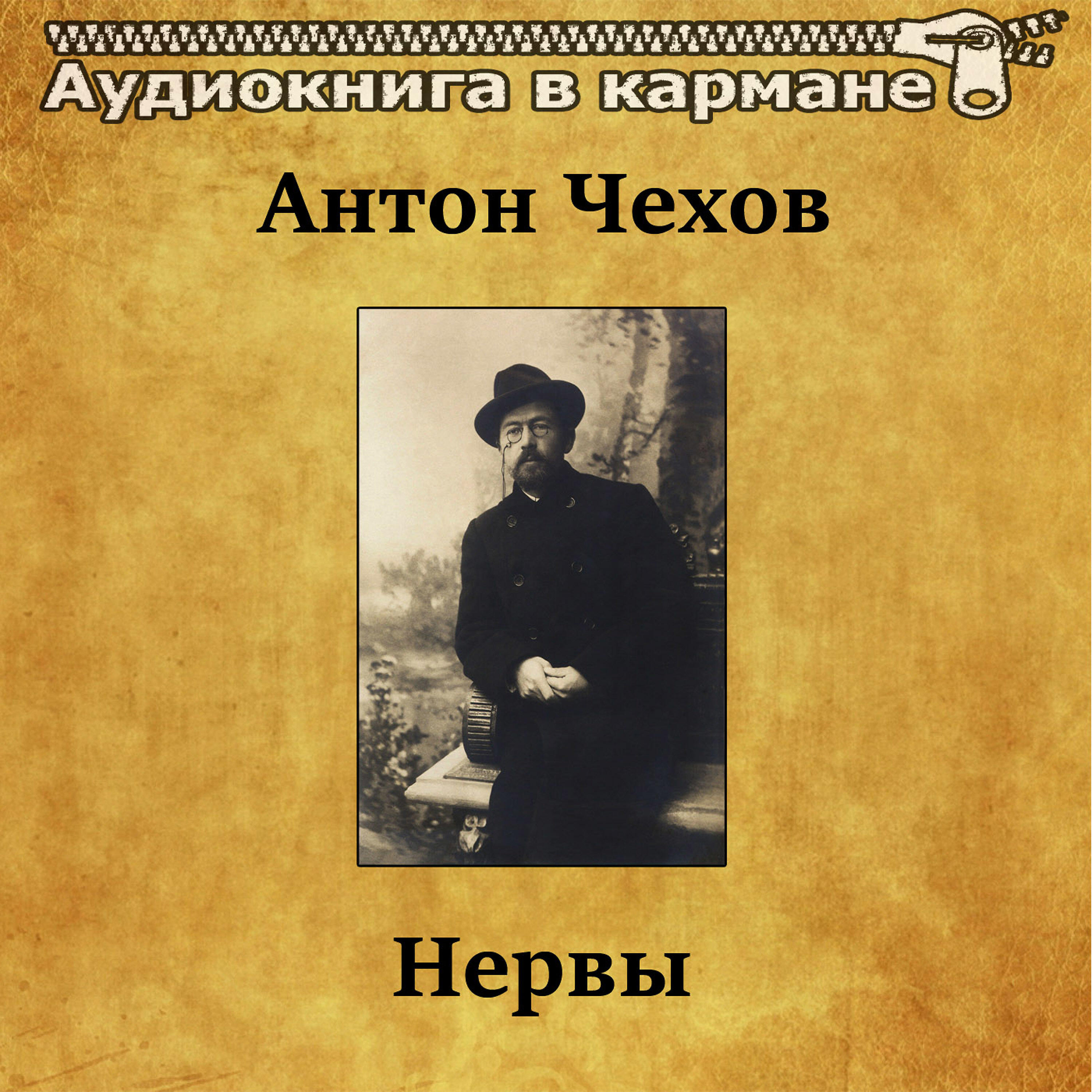 Книга Нервы