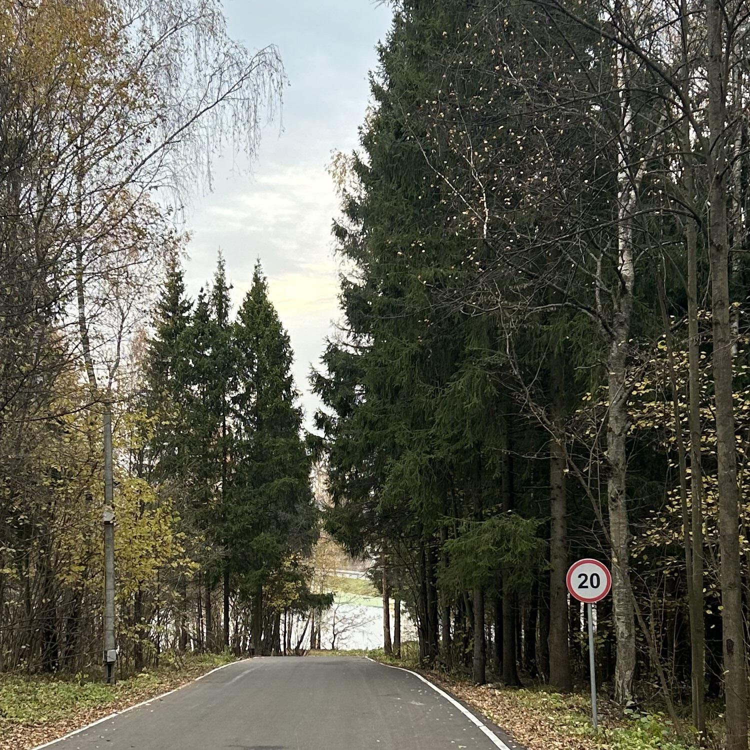 Постер альбома Я по земле всю жизнь прошла
