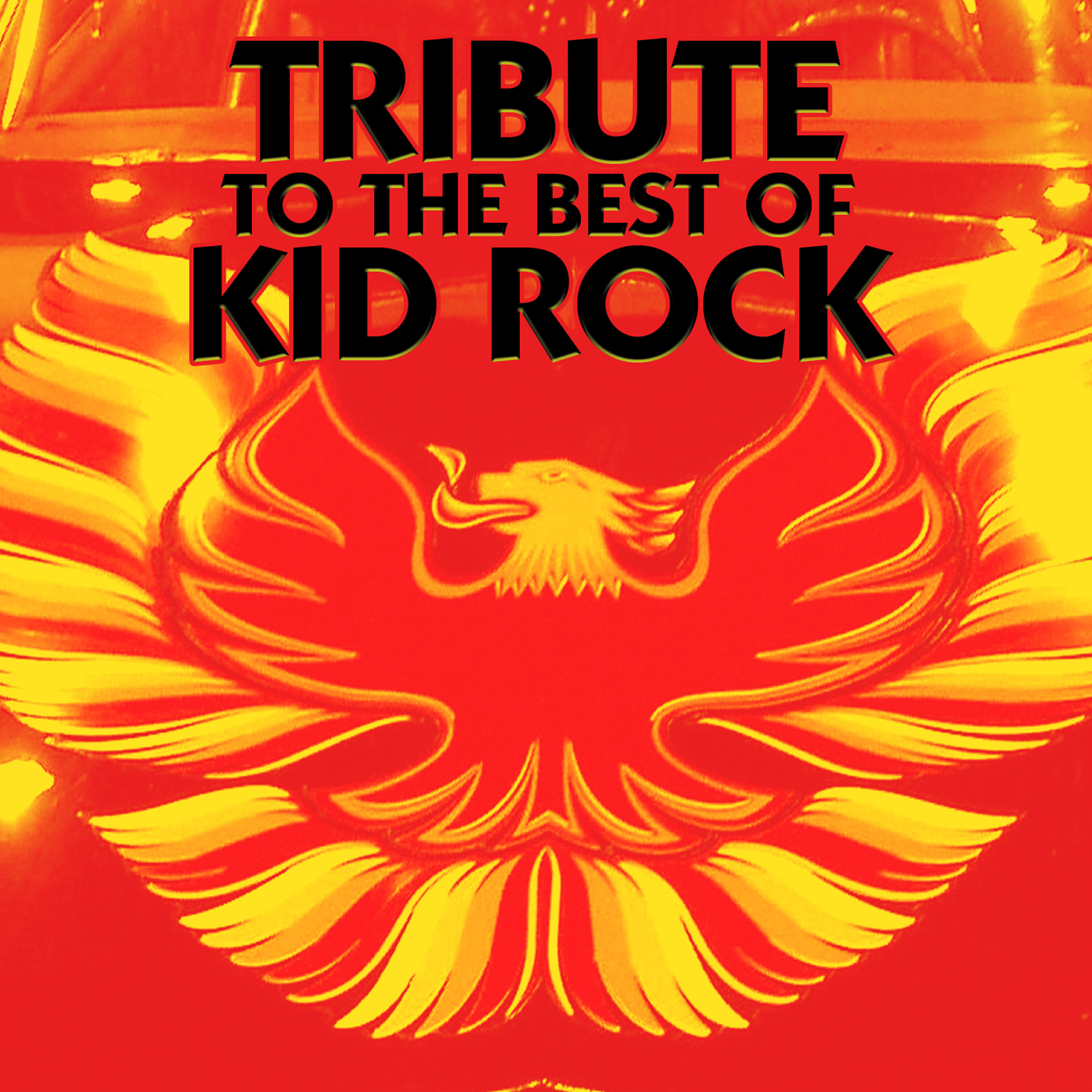 Релиз Tribute to the Best of Kid Rock