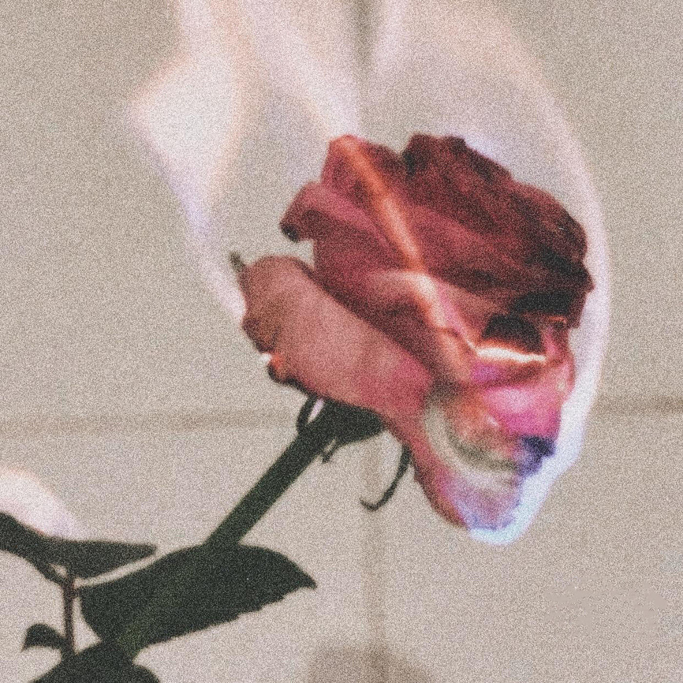Релиз Let Me Go
