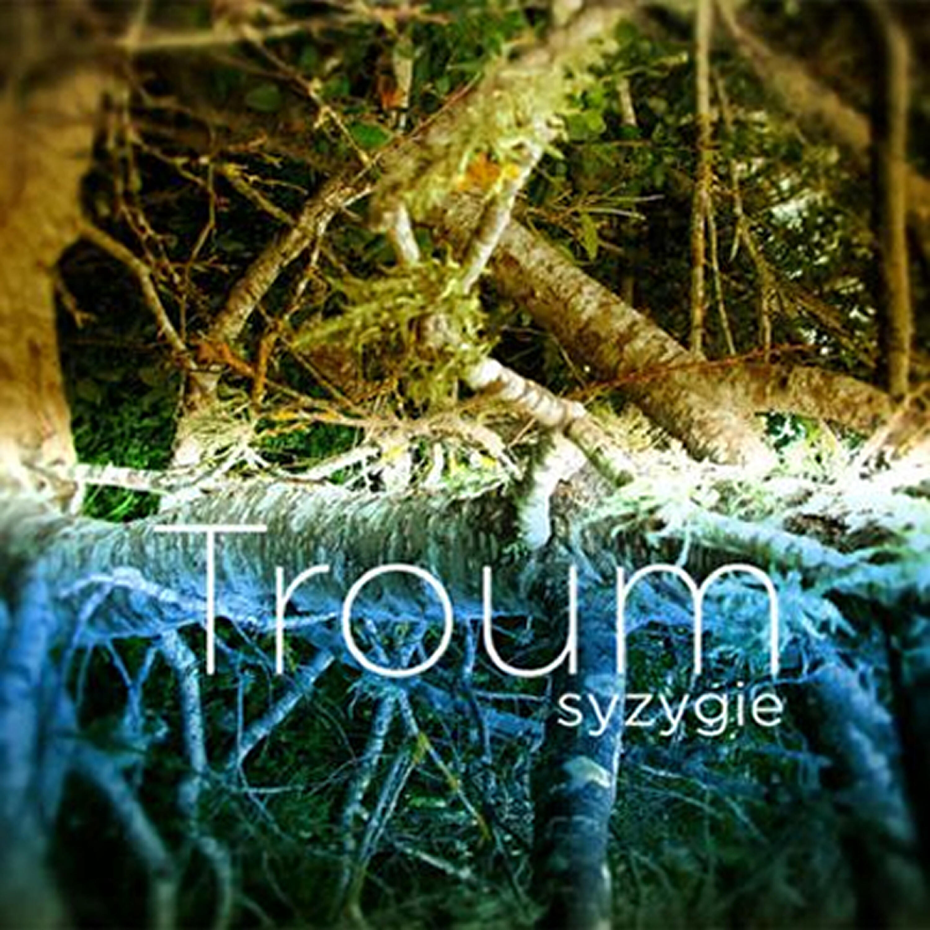 Релиз Syzygie