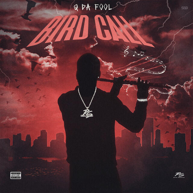 Релиз Bird Call