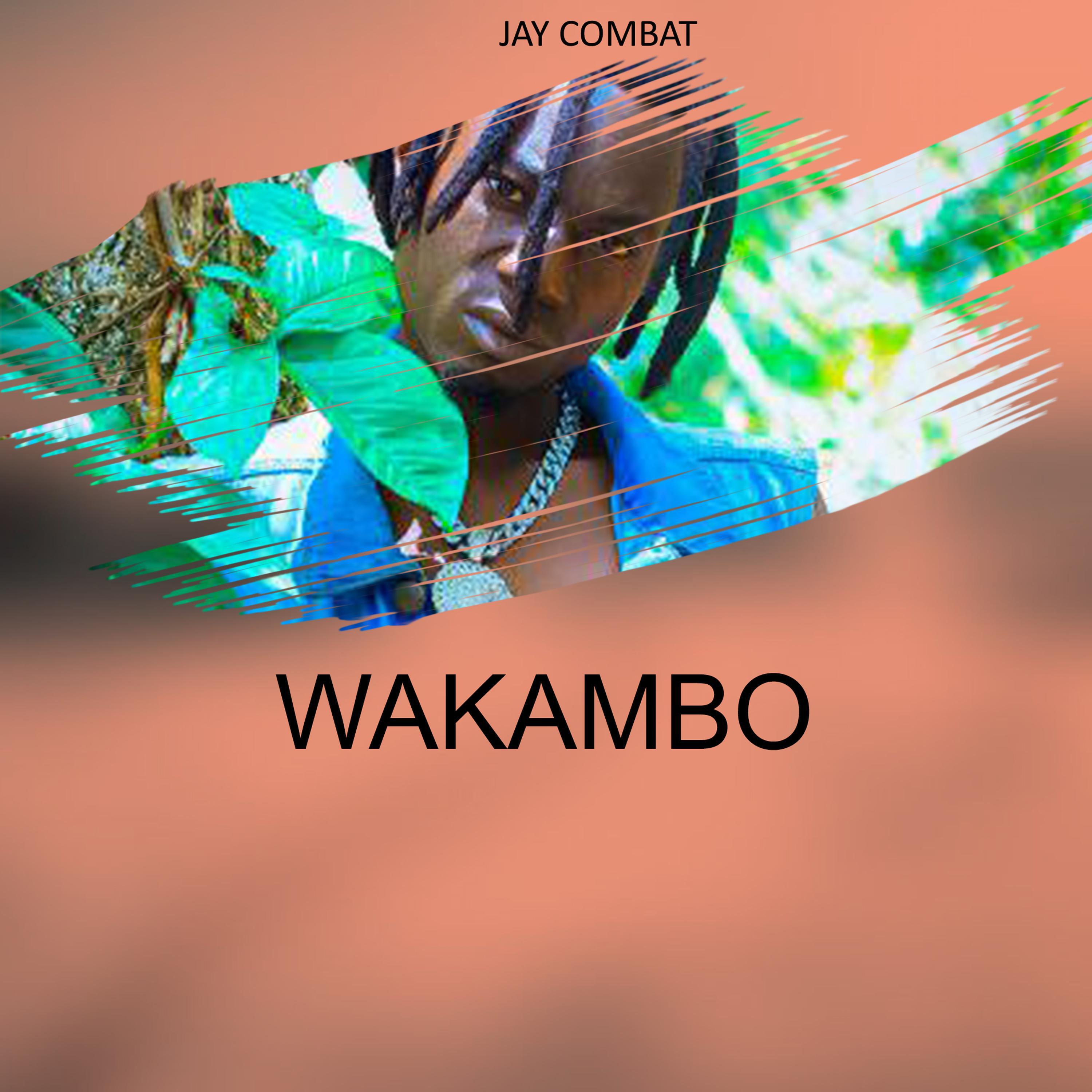 Релиз WAKAMBO