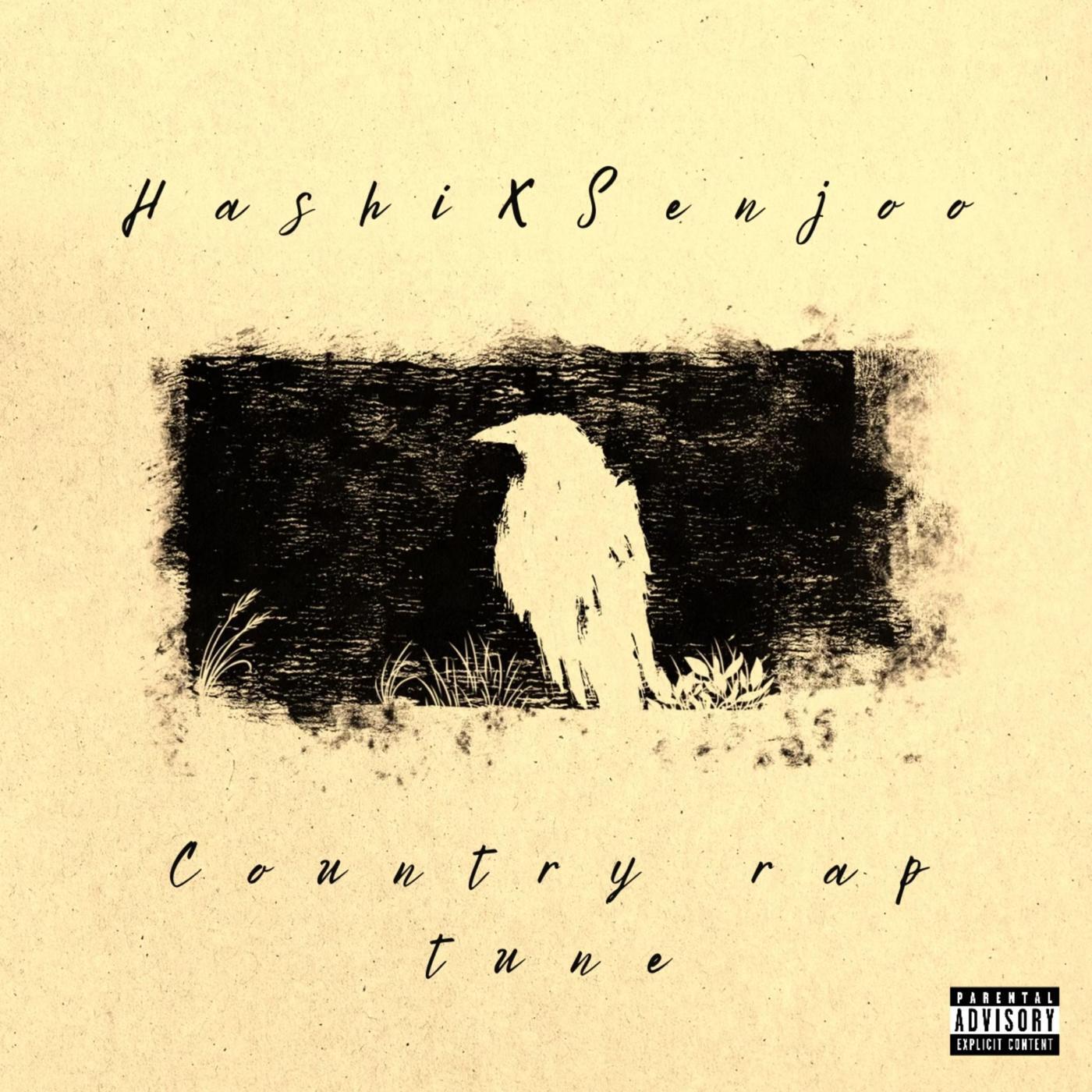 Релиз Country rap tune
