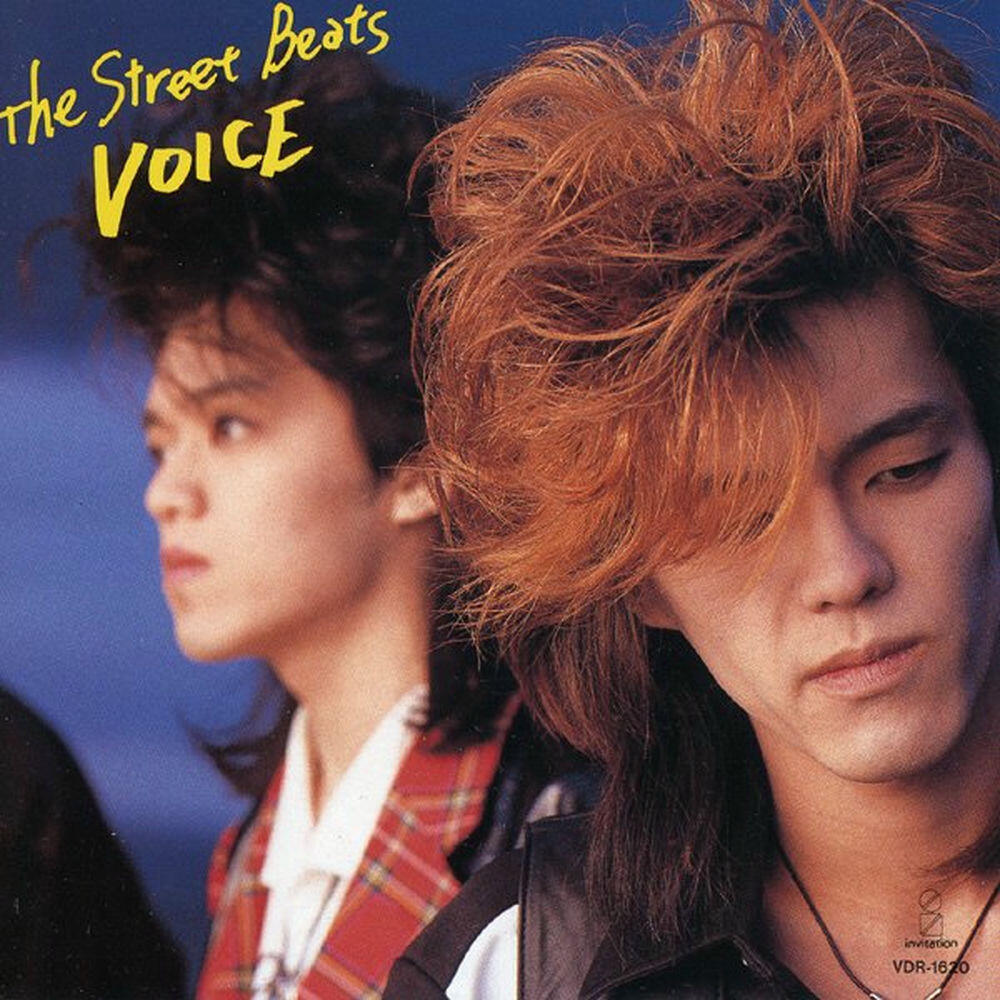 Релиз VOICE