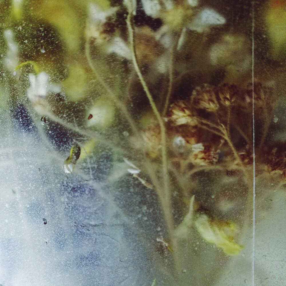 Релиз Dreaming Is Dangerous