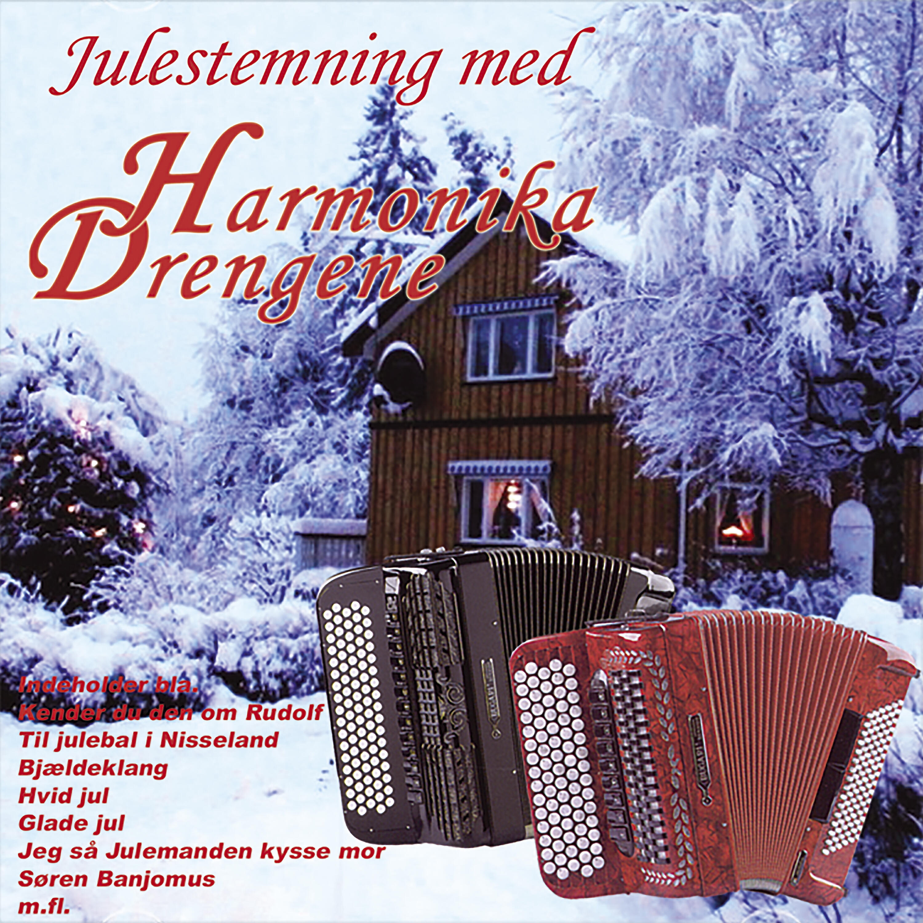 Harmonika Drengene