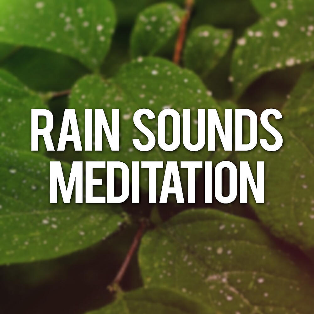 Релиз Rain Sounds Meditation